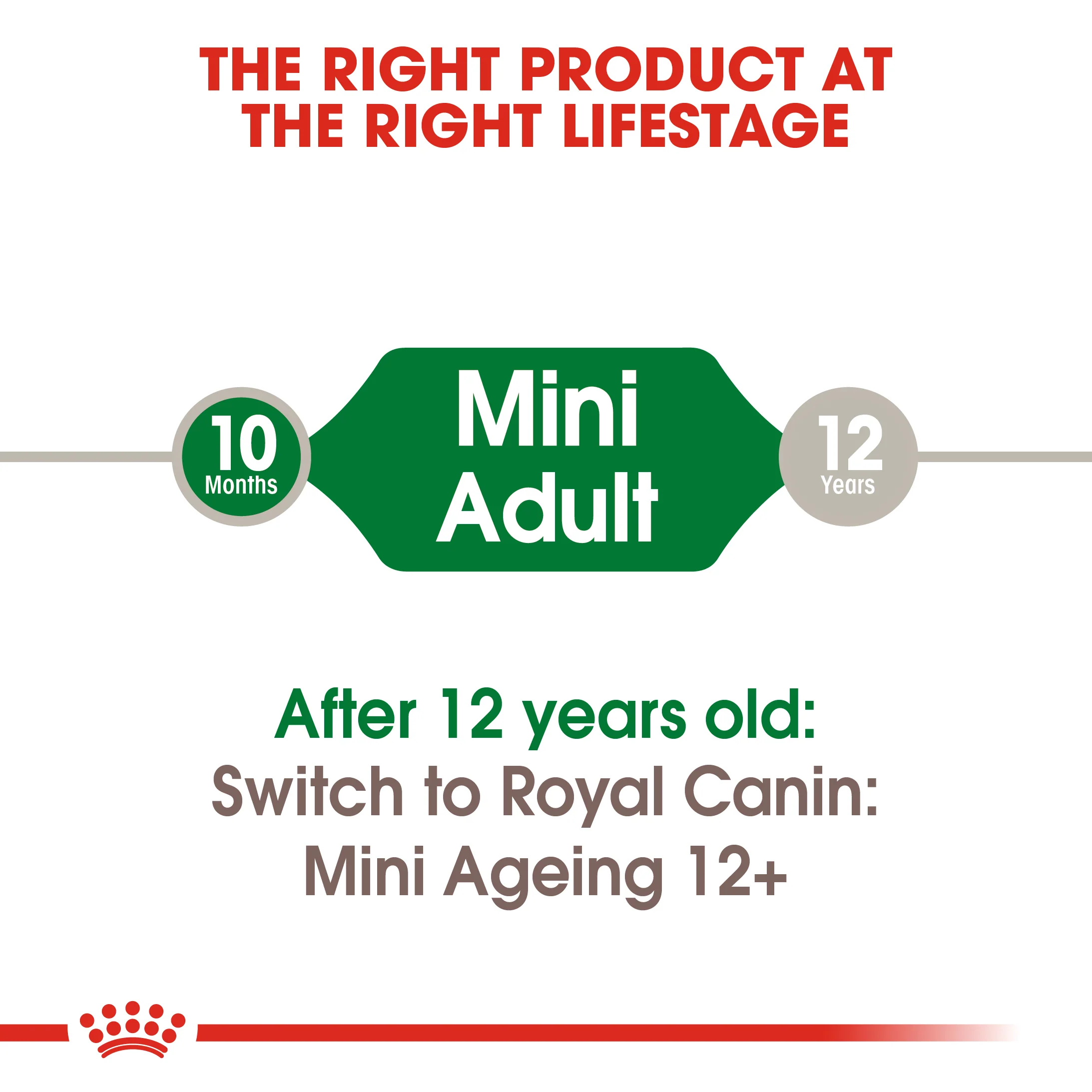 ROYAL CANIN® Mini Adult in Gravy Wet Dog Food - Image 8