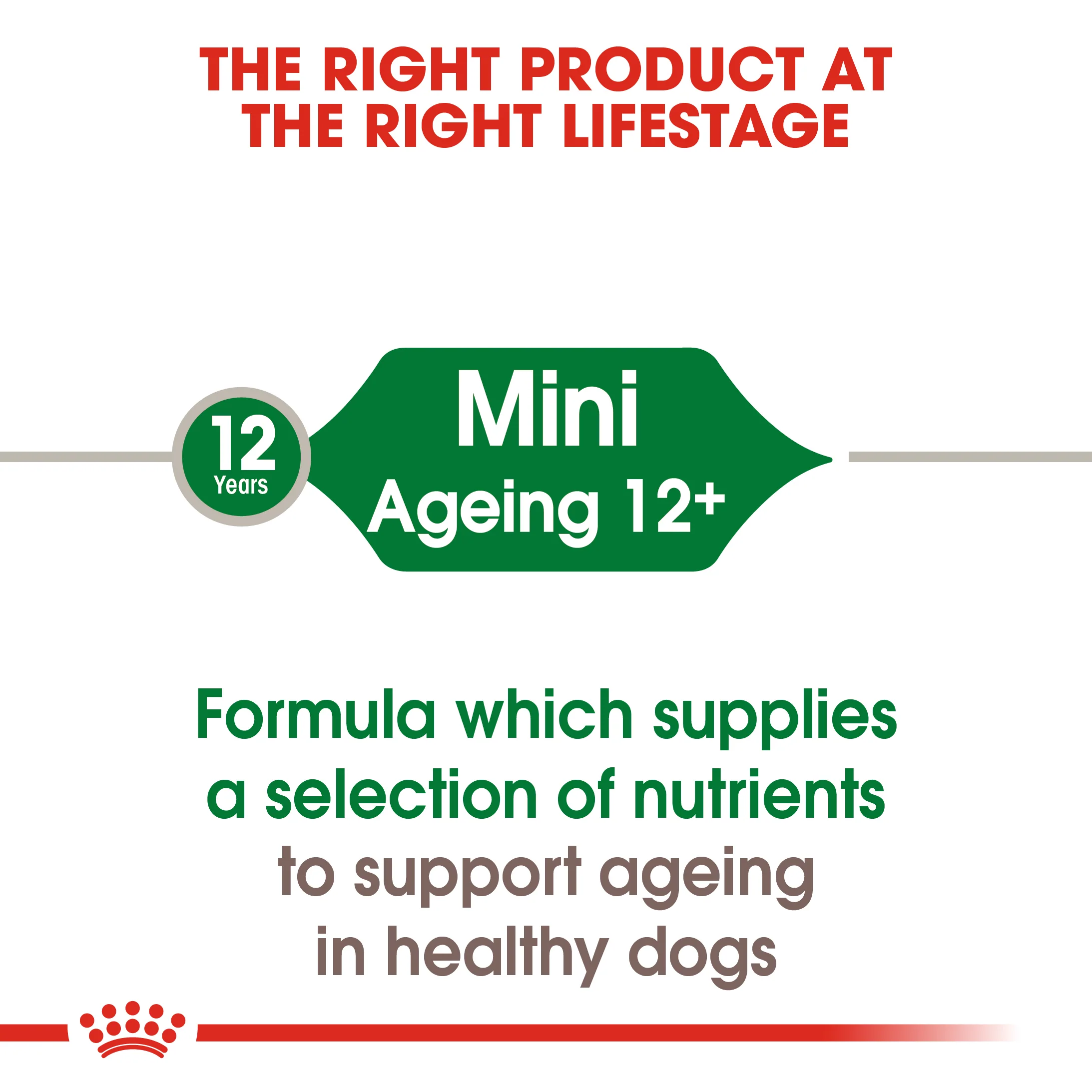 ROYAL CANIN® Mini Ageing 12+ Senior in Gravy Wet Dog Food - Image 10