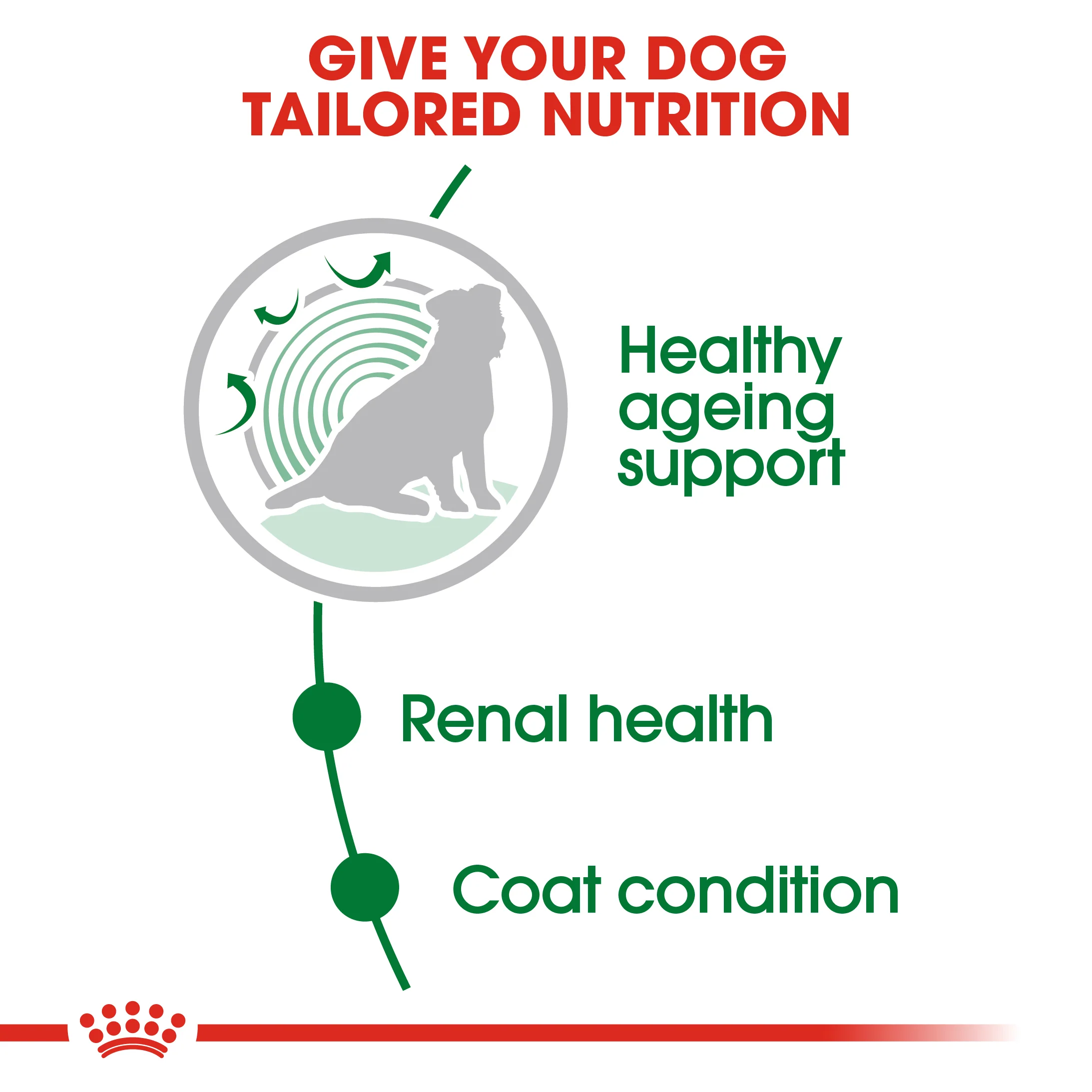 ROYAL CANIN® Mini Ageing 12+ Senior in Gravy Wet Dog Food - Image 11