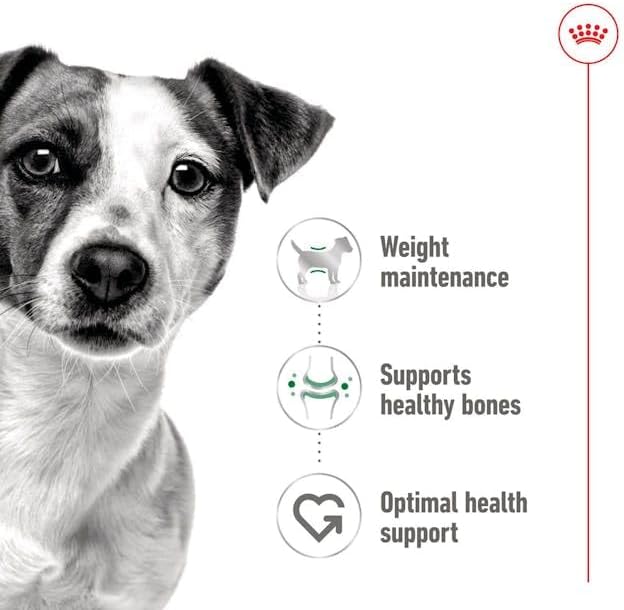 ROYAL CANIN® Mini Adult in Loaf 195g Wet Dog Food in Cans - Image 2