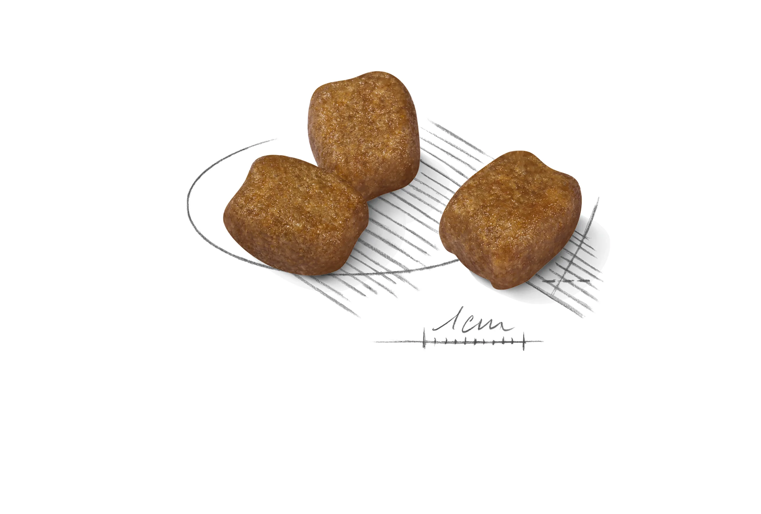 ROYAL CANIN® Mini Dental Care Adult Dry Dog Food - Image 5