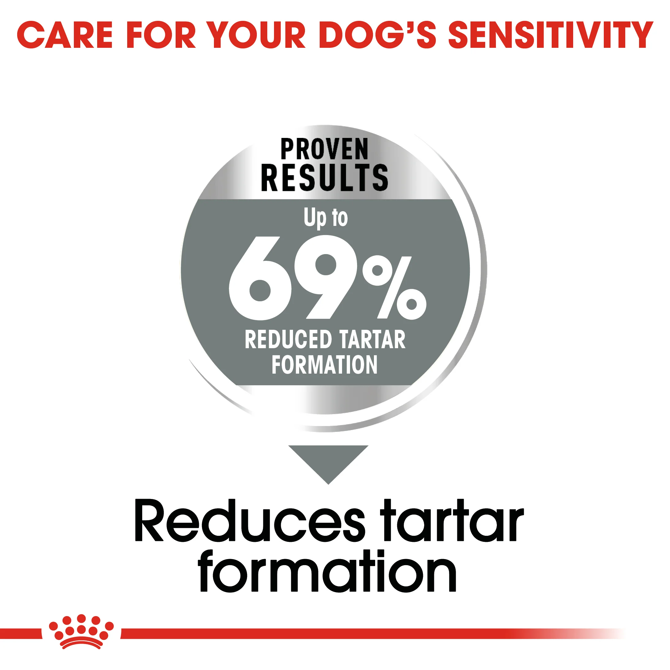 ROYAL CANIN® Mini Dental Care Adult Dry Dog Food - Image 6
