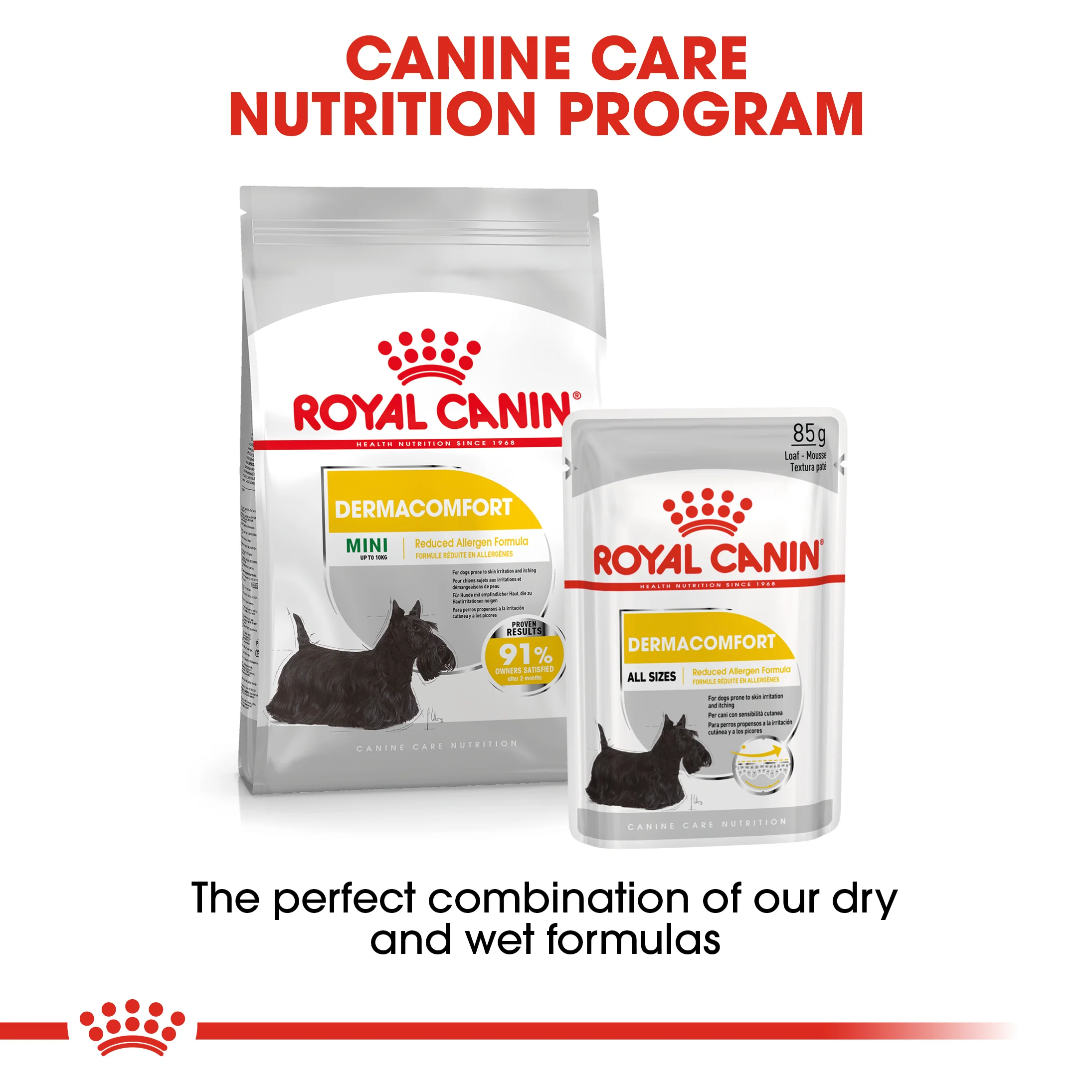 ROYAL CANIN® Mini Dermacomfort Adult Dry Dog Food - Image 11