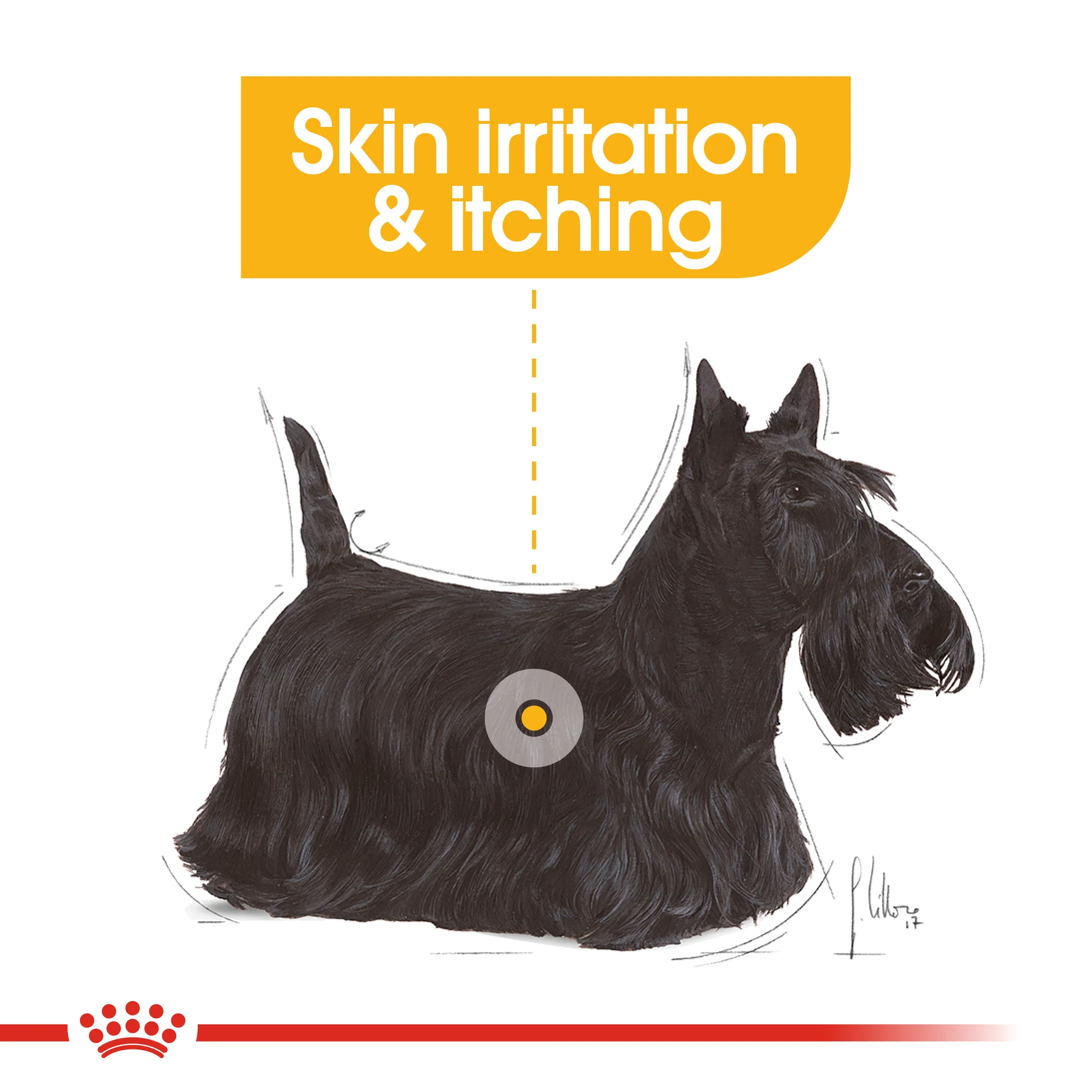 ROYAL CANIN® Mini Dermacomfort Adult Dry Dog Food - Image 13