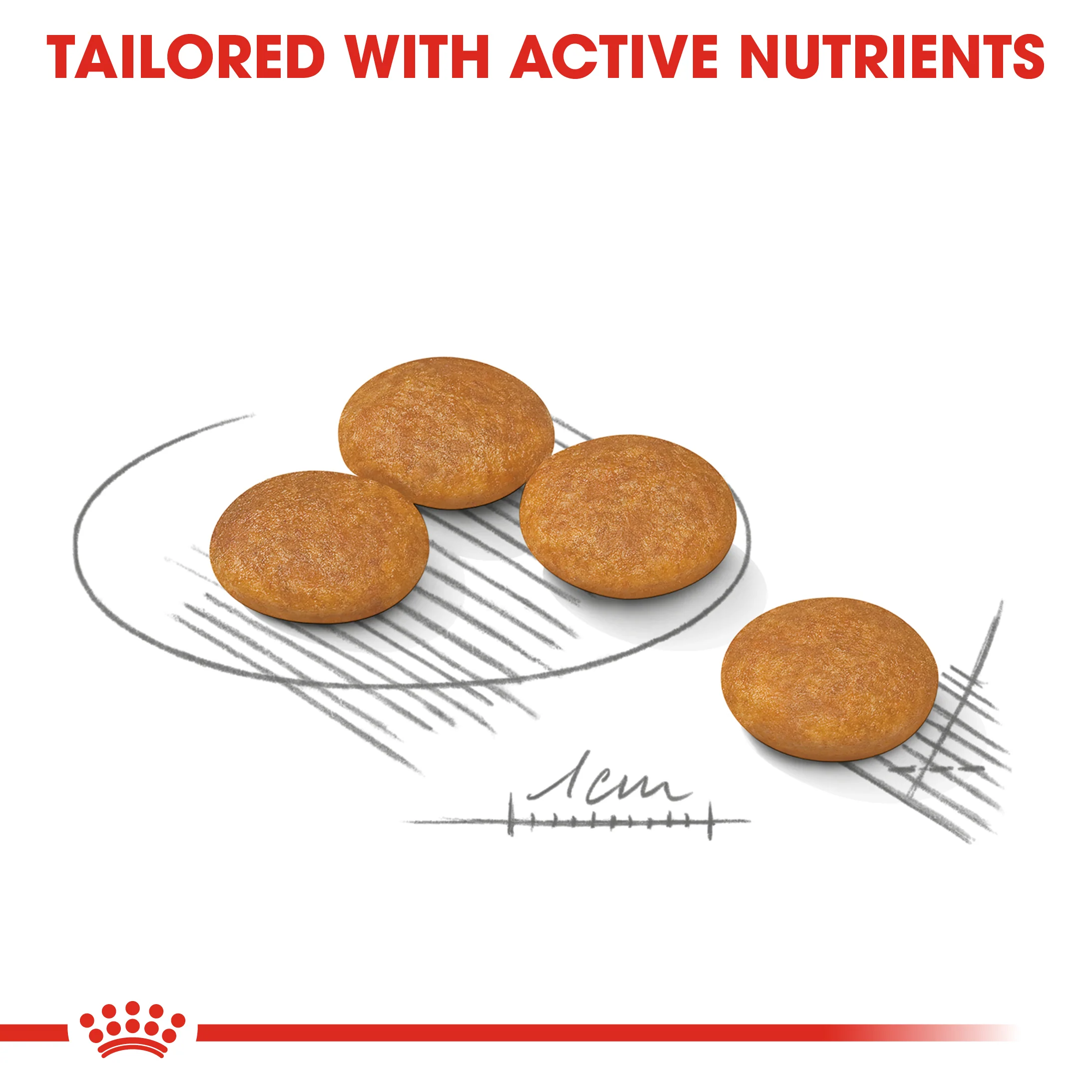 ROYAL CANIN® Mini Dermacomfort Adult Dry Dog Food - Image 2