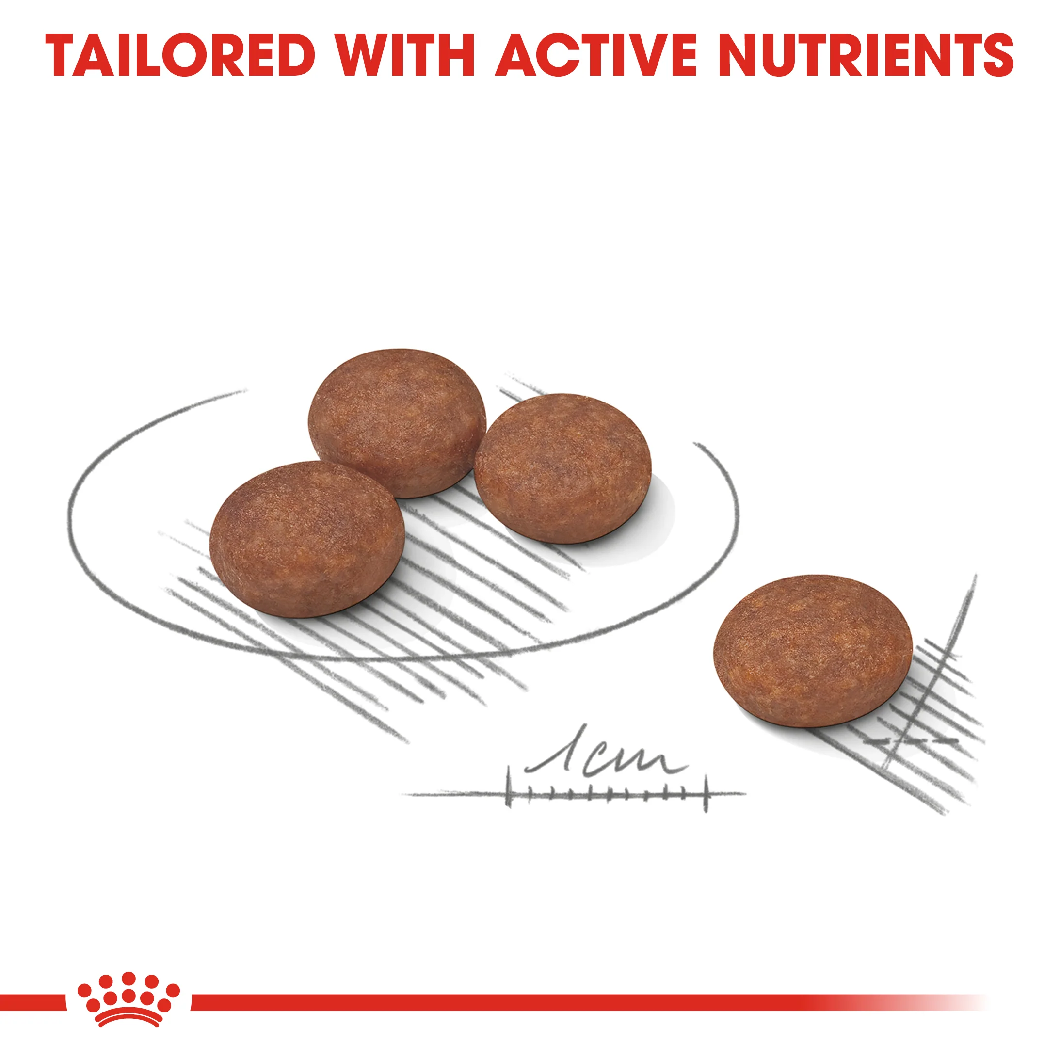 ROYAL CANIN® Mini Digestive Care Adult Dry Dog Food - Image 2