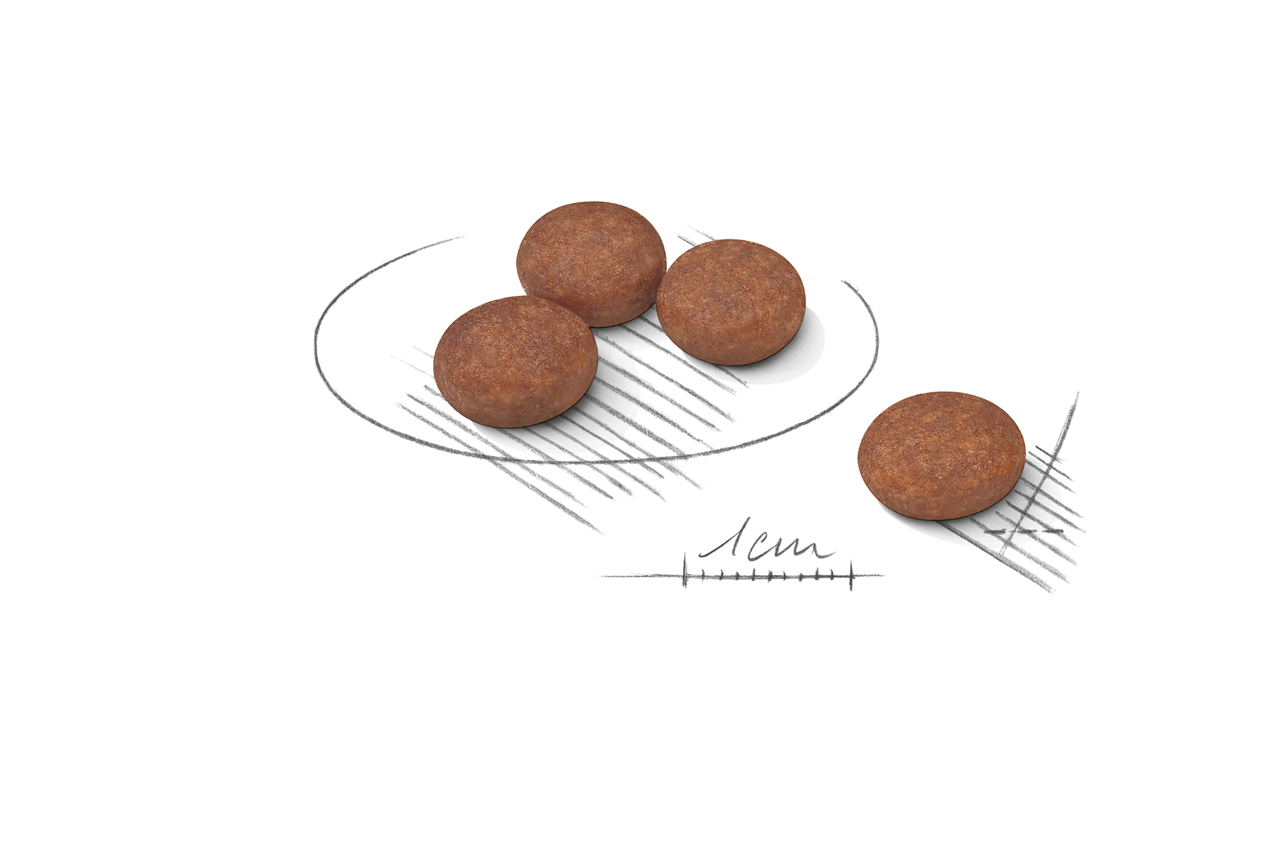 ROYAL CANIN® Mini Digestive Care Adult Dry Dog Food - Image 5