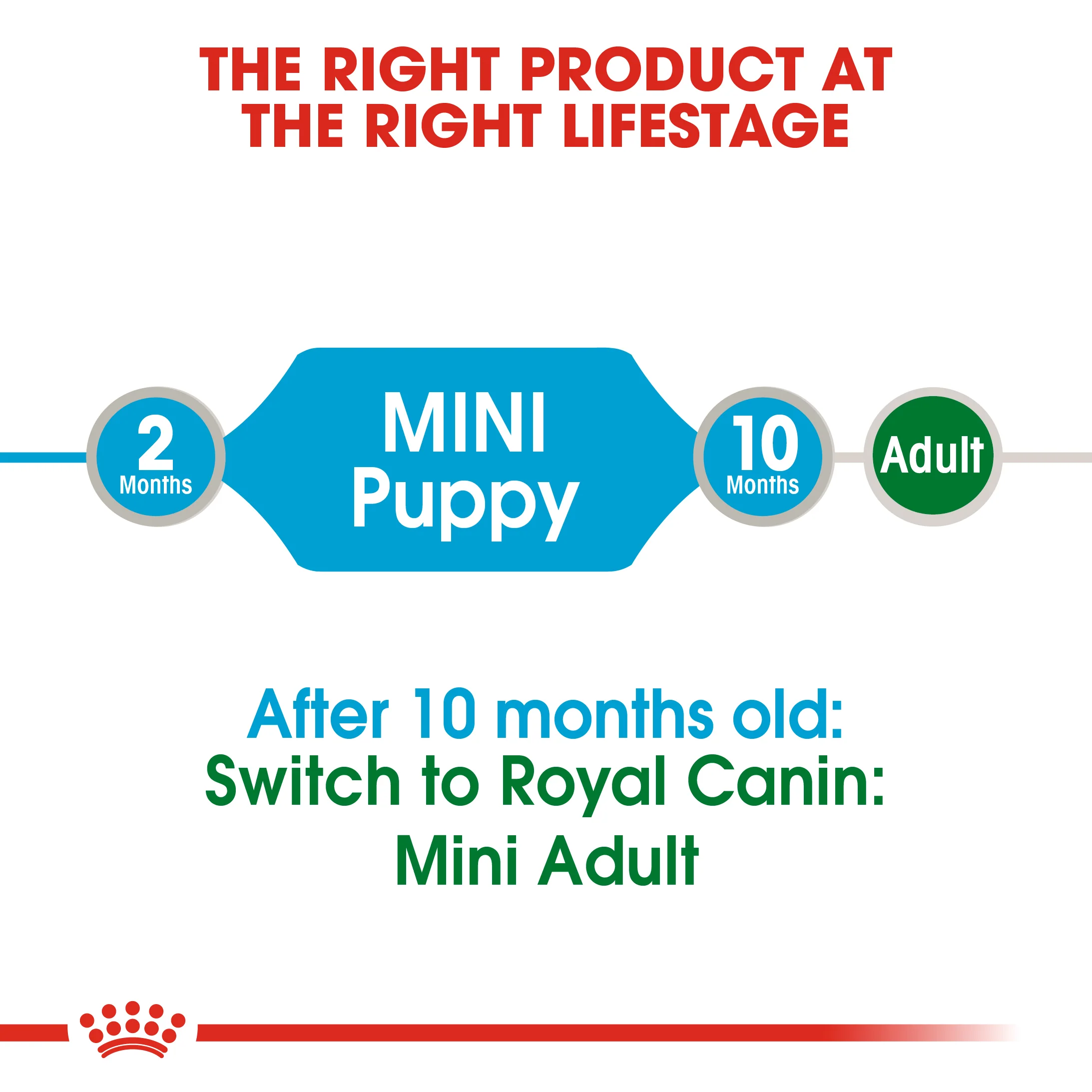 ROYAL CANIN® Mini Puppy in Gravy Wet Food - Image 10