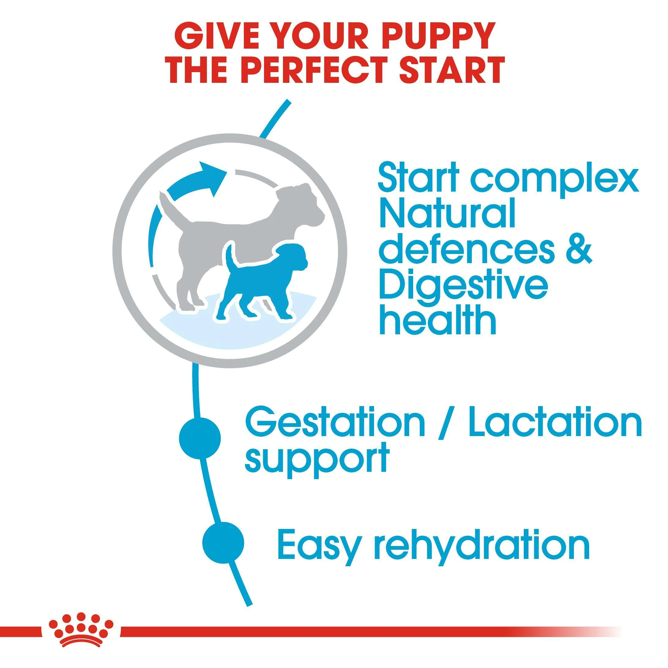 ROYAL CANIN® Mini Starter Mother & Babydog Adult and Puppy Dry Food - Image 15