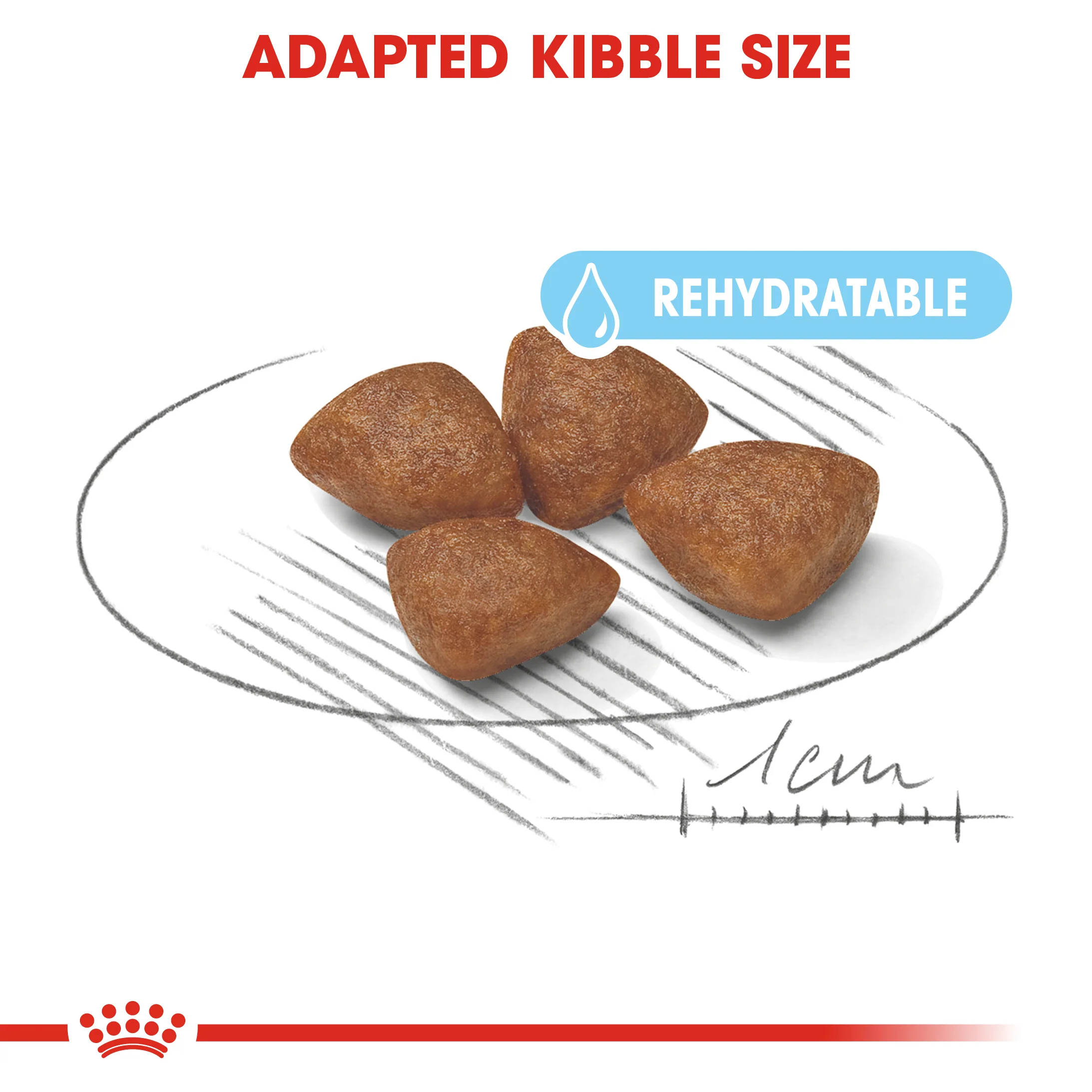 ROYAL CANIN® Mini Starter Mother & Babydog Adult and Puppy Dry Food - Image 17