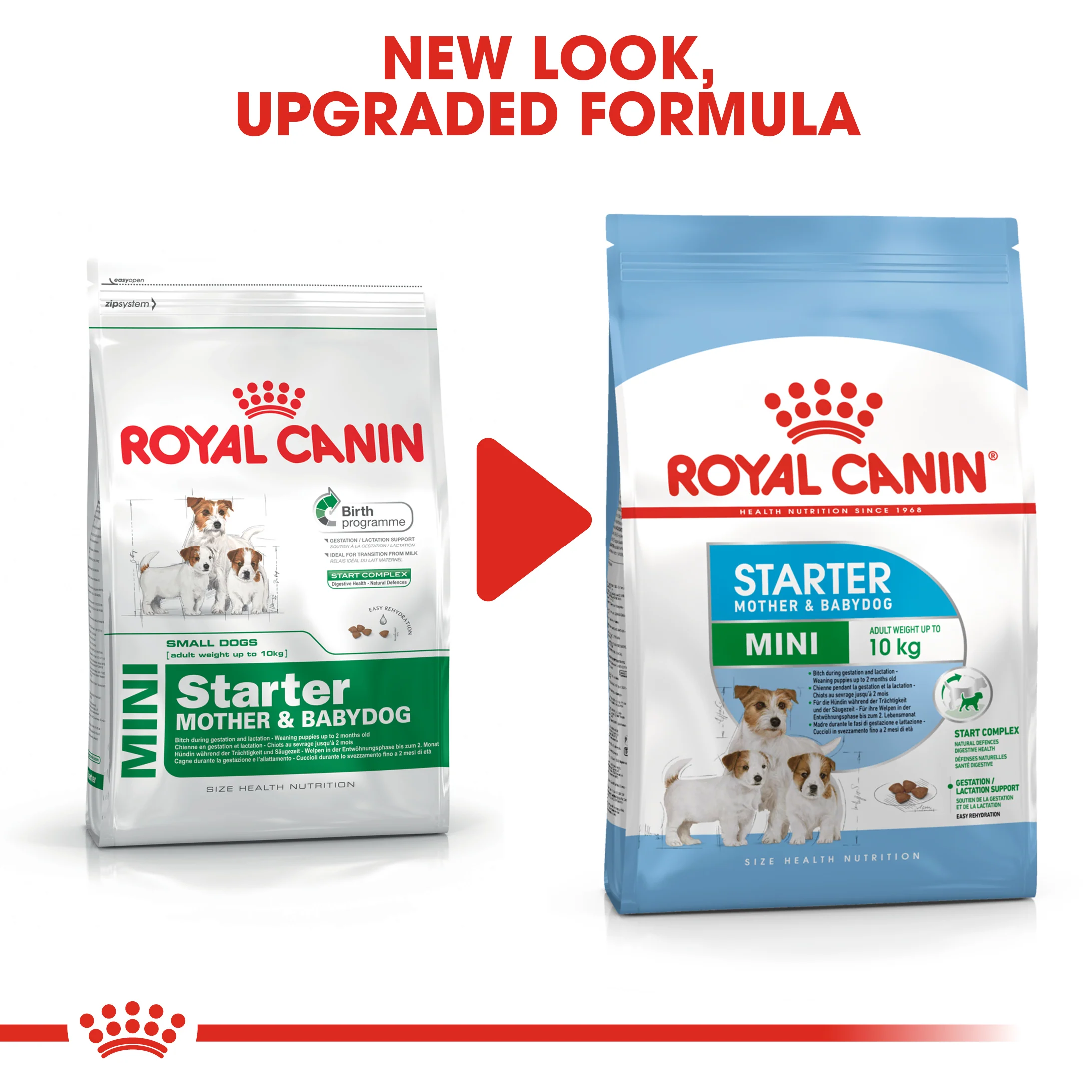 ROYAL CANIN® Mini Starter Mother & Babydog Adult and Puppy Dry Food - Image 21
