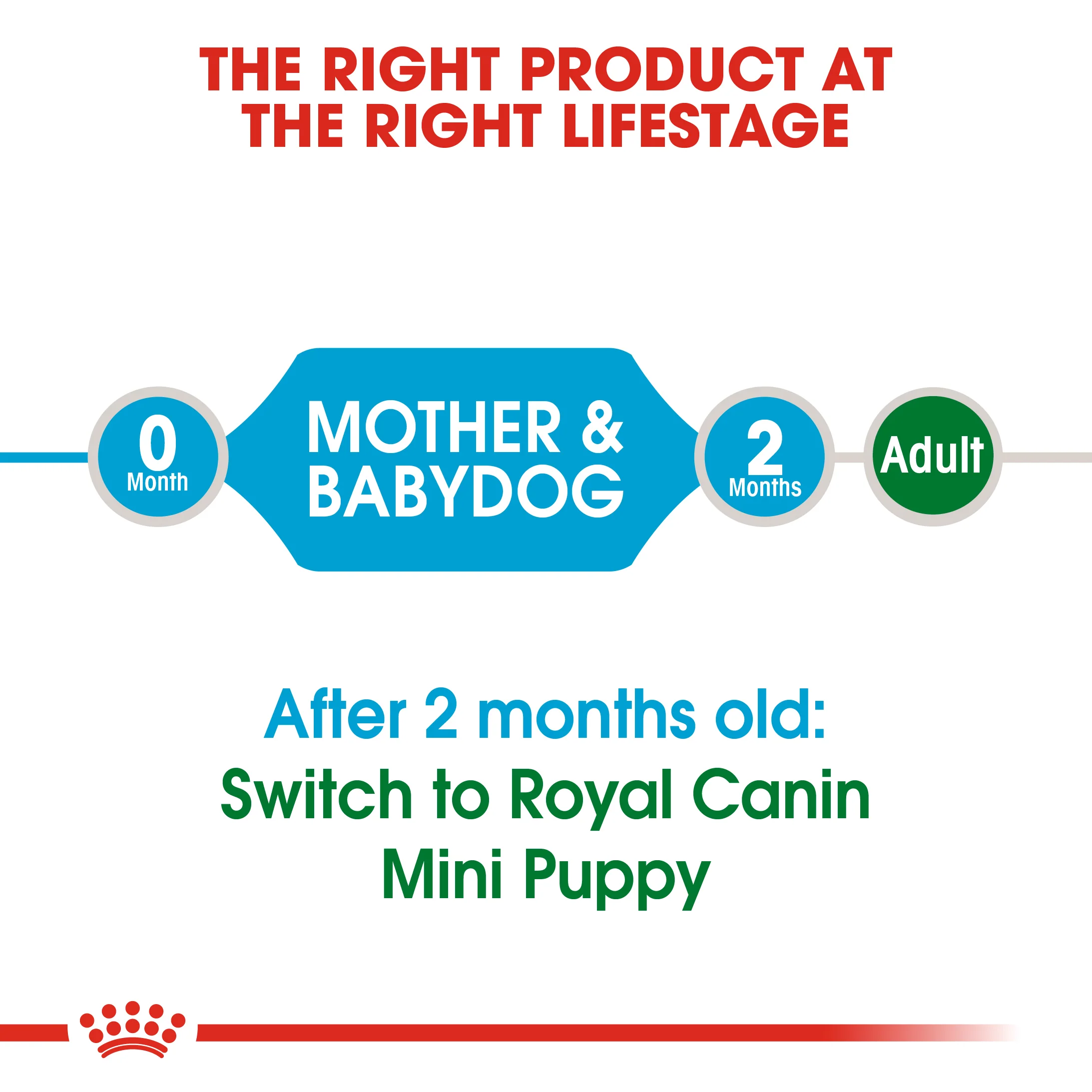 ROYAL CANIN® Mini Starter Mother & Babydog Adult and Puppy Dry Food - Image 6