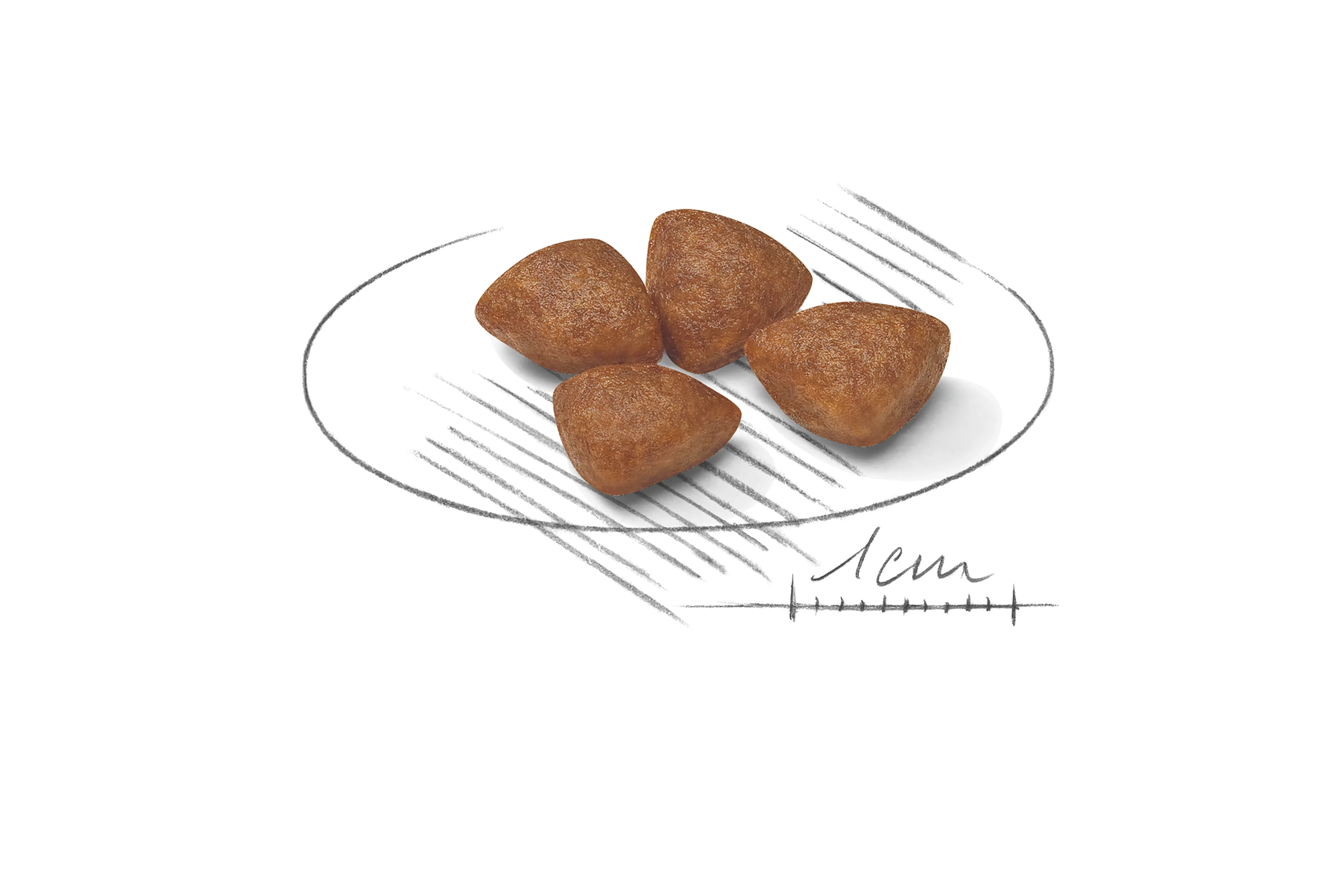 ROYAL CANIN® Mini Starter Mother & Babydog Adult and Puppy Dry Food - Image 8