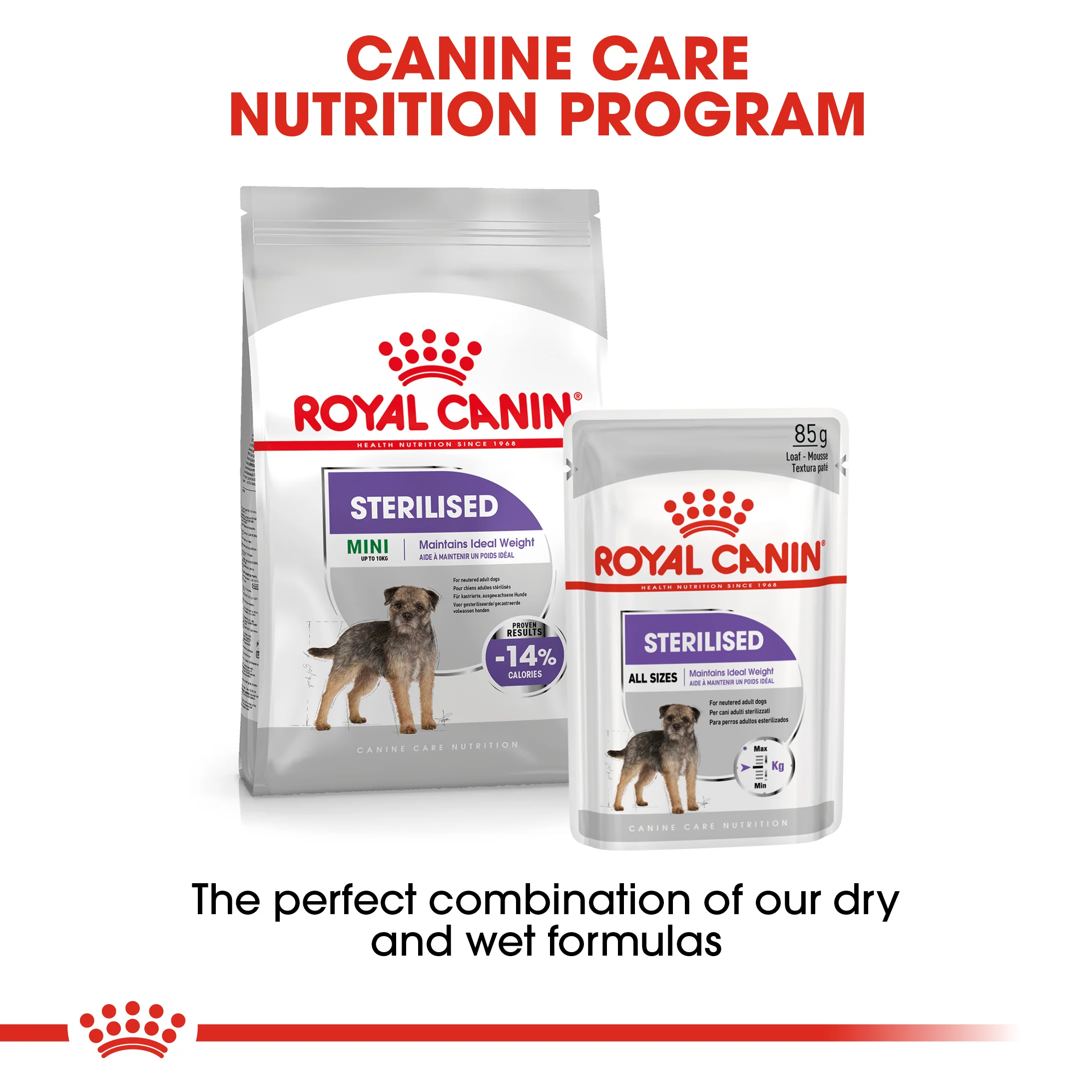 ROYAL CANIN® Mini Sterilised Care Adult Dry Dog Food - Image 10