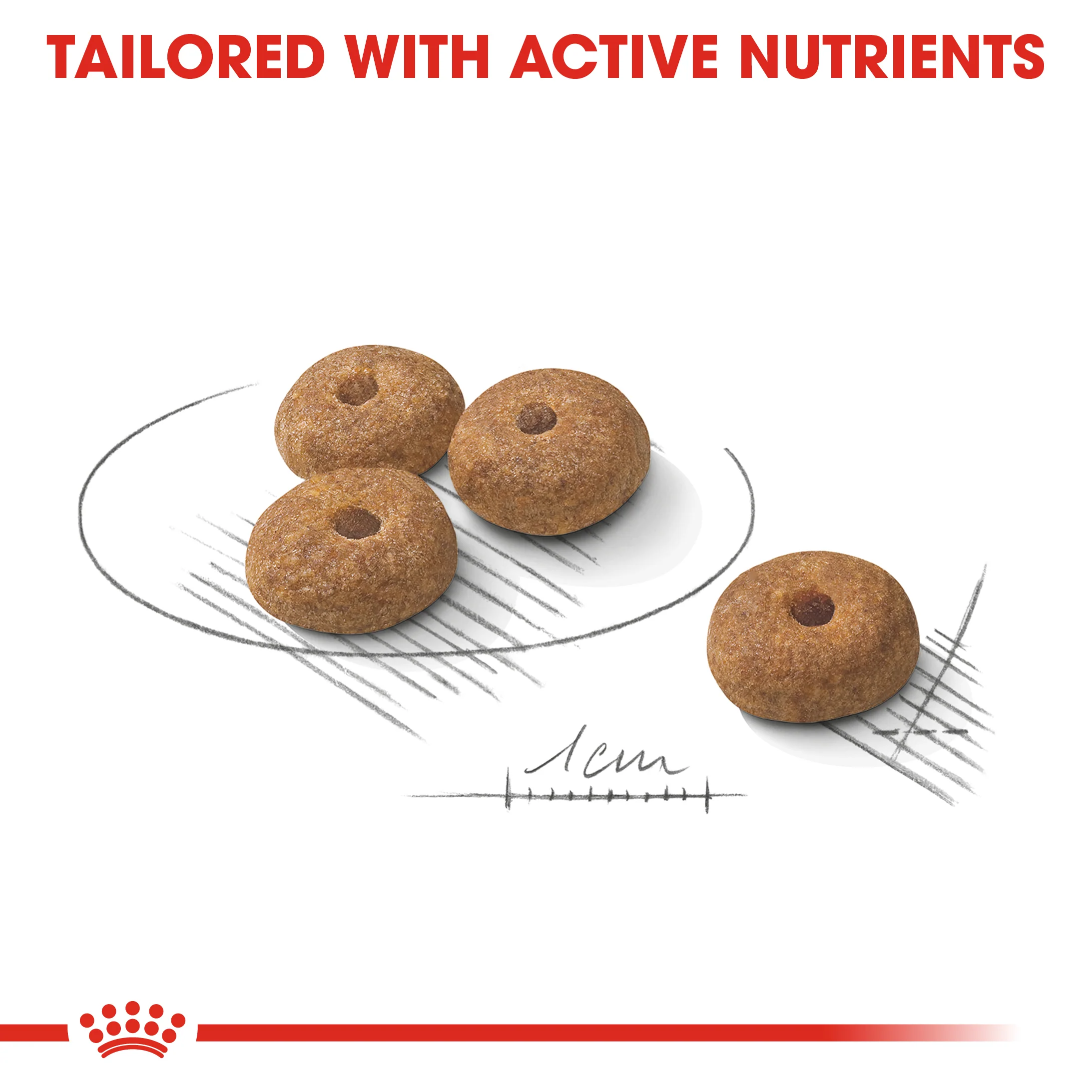 ROYAL CANIN® Mini Sterilised Care Adult Dry Dog Food - Image 2