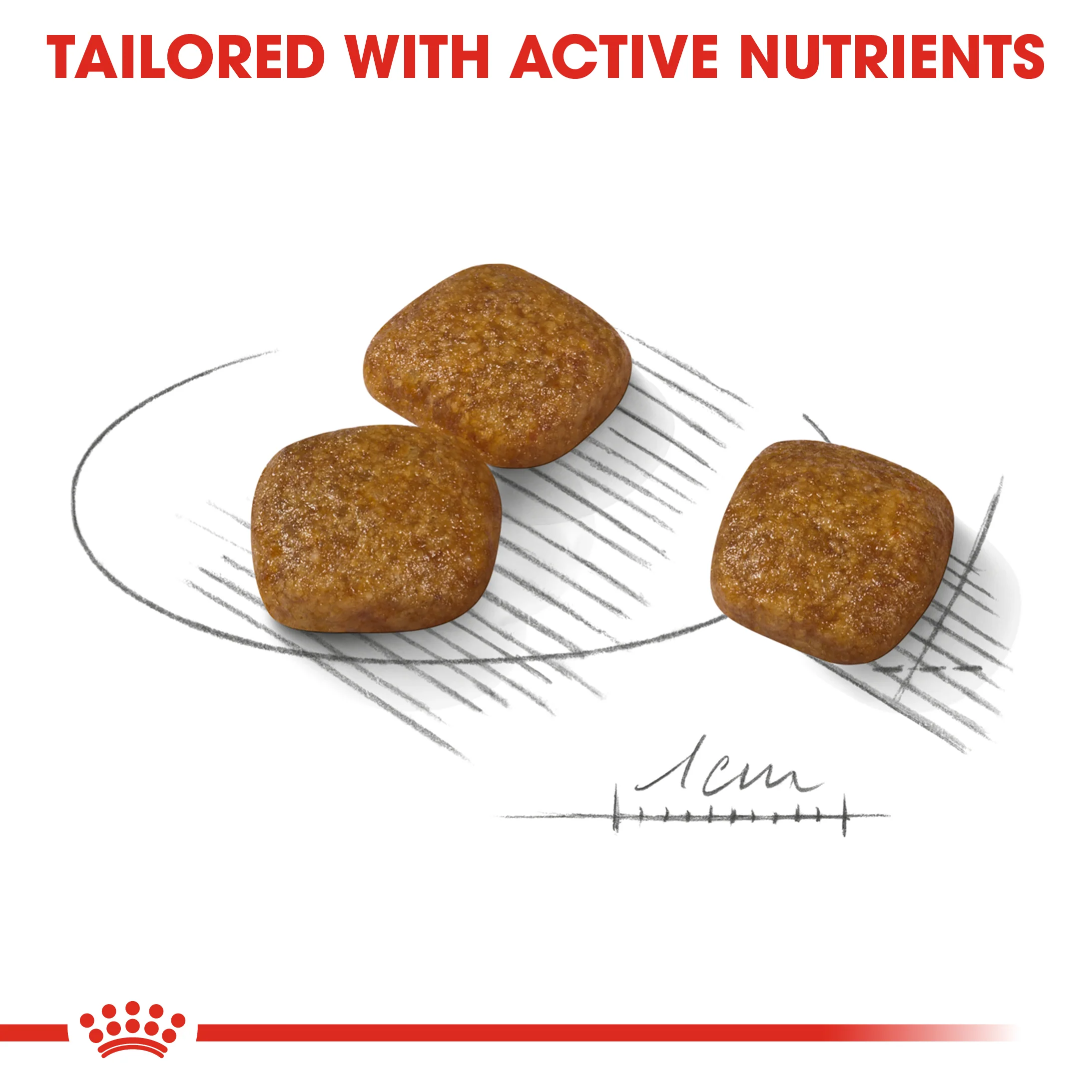 ROYAL CANIN® Mini Urinary Care Adult Dry Dog Food - Image 2