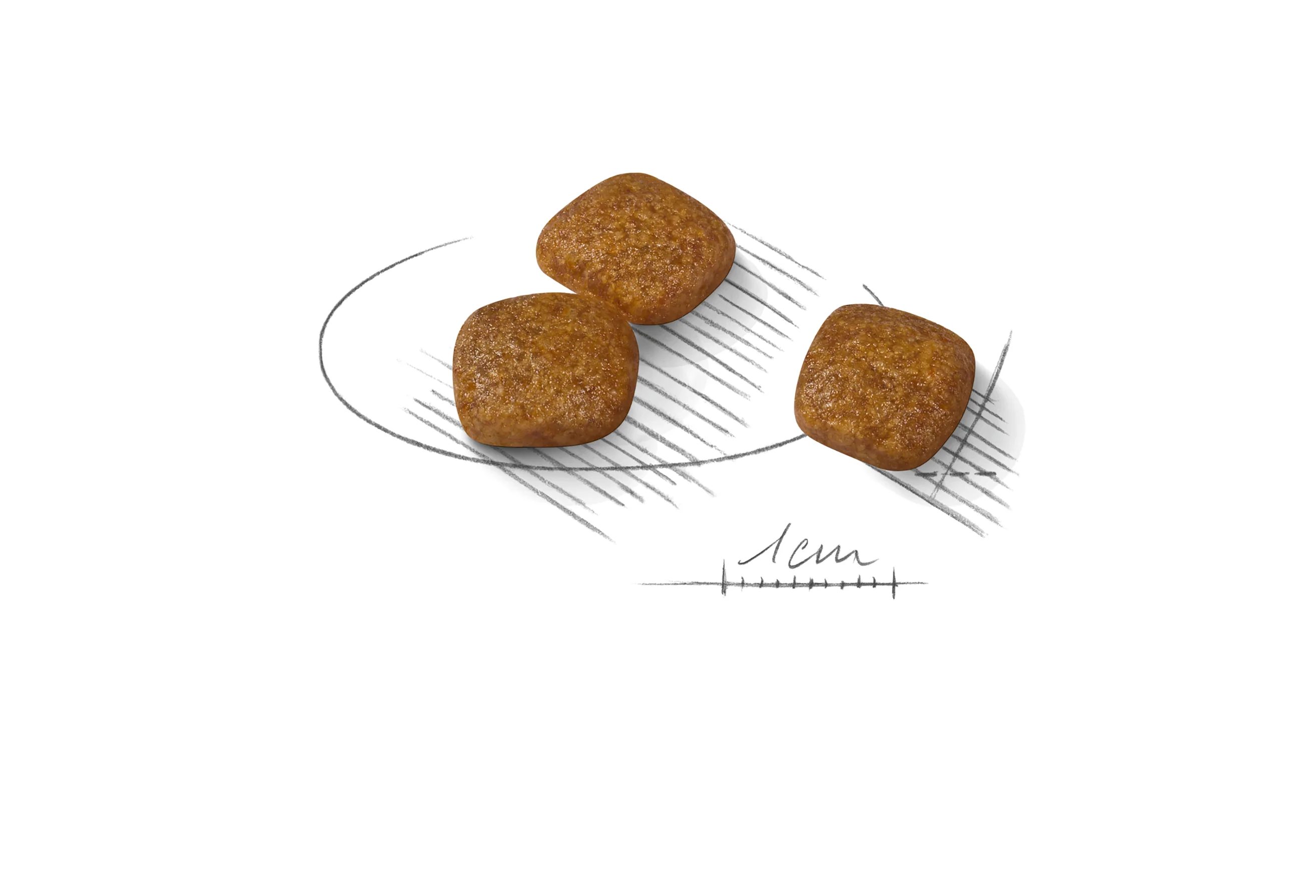 ROYAL CANIN® Mini Urinary Care Adult Dry Dog Food - Image 5