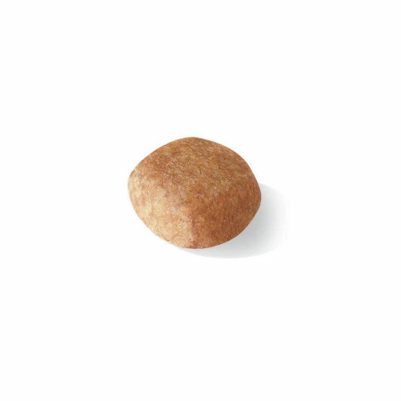 ROYAL CANIN® Miniature Schnauzer Adult Dry Dog Food - Image 3