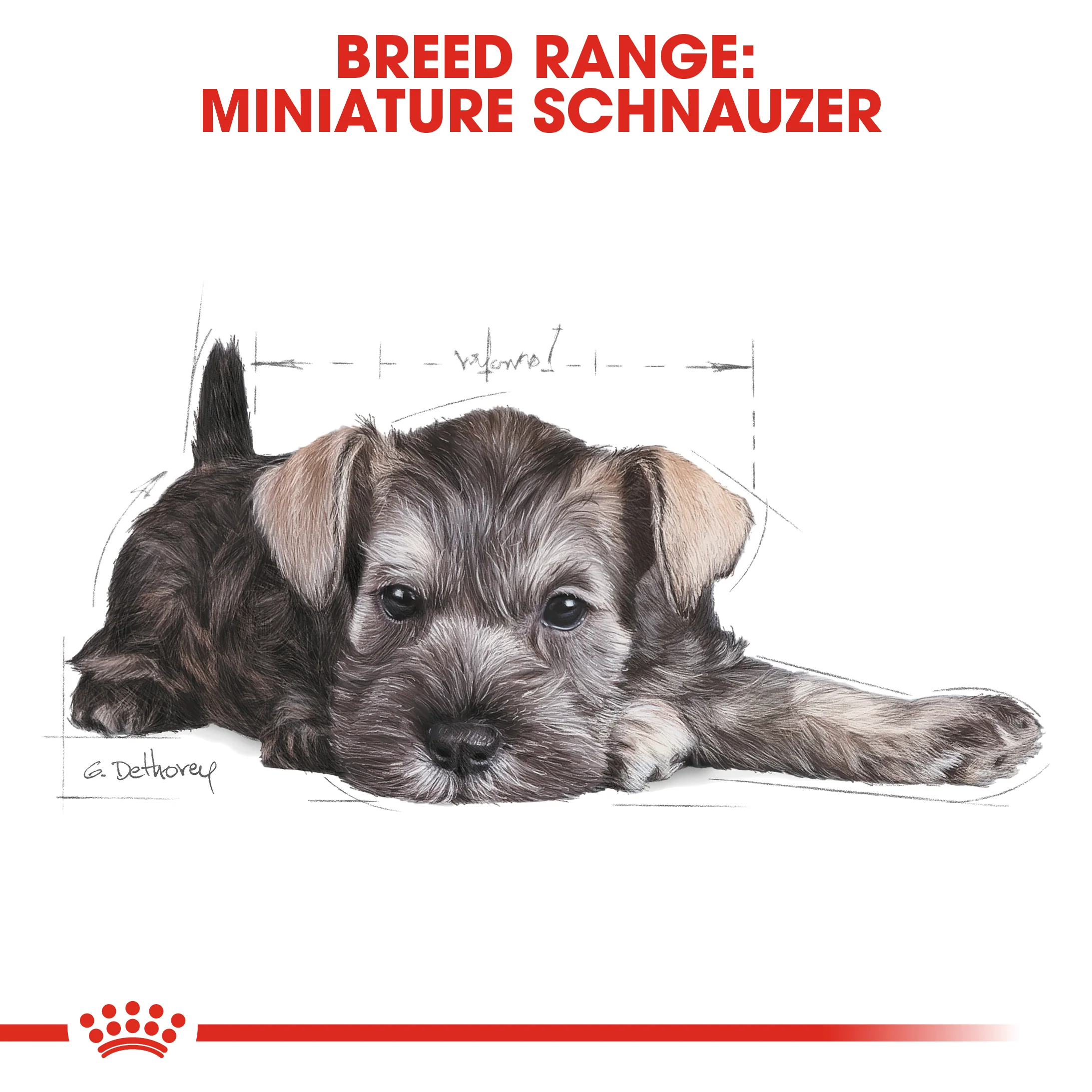 ROYAL CANIN® Miniature Schnauzer Puppy Dry Food - Image 11