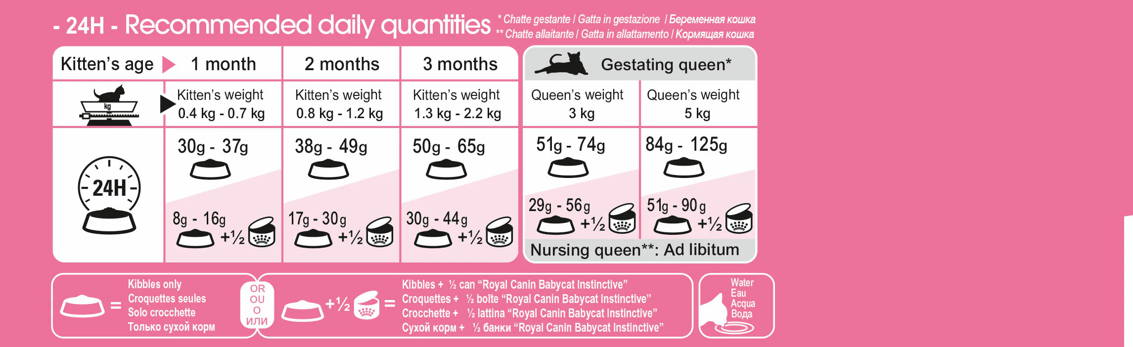 ROYAL CANIN® Mother & Babycat Adult & Kitten Dry Food - Image 4