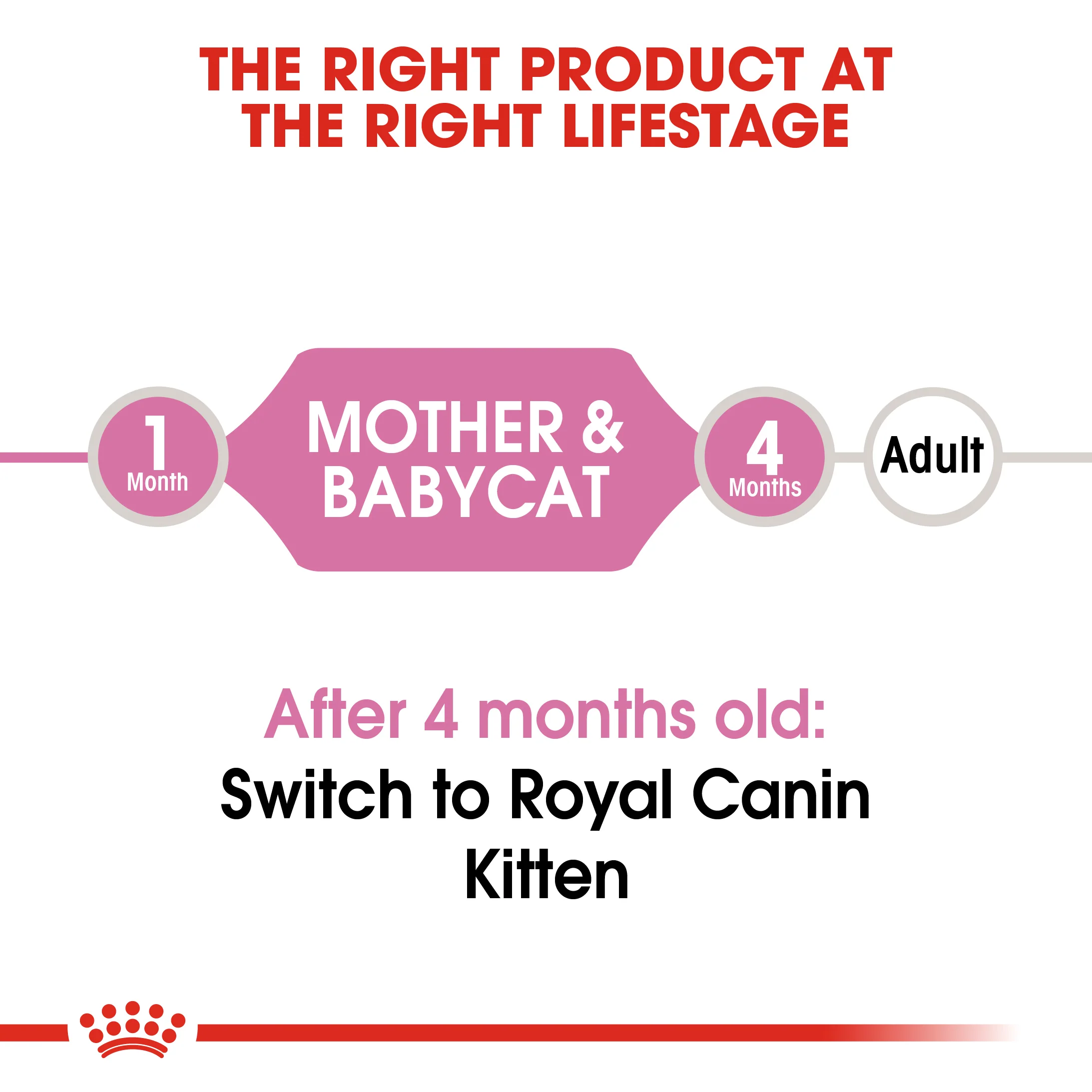 ROYAL CANIN® Mother & Babycat Adult & Kitten Dry Food - Image 6