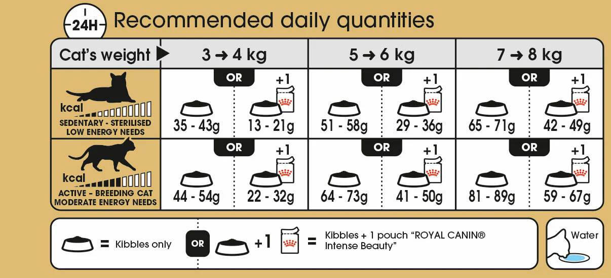 ROYAL CANIN® Norwegian Forest Adult Dry Cat Food - Image 4