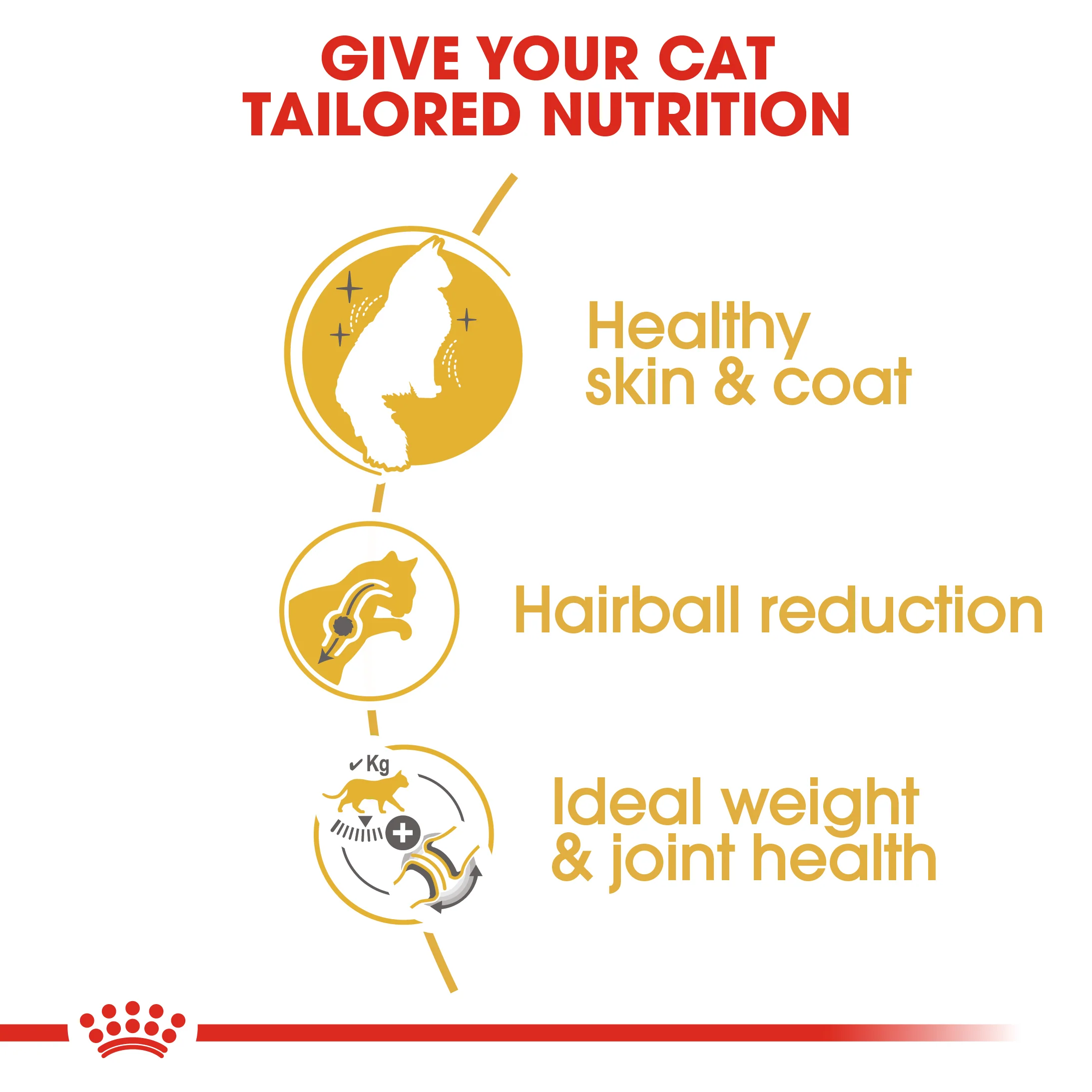 ROYAL CANIN® Norwegian Forest Adult Dry Cat Food - Image 6