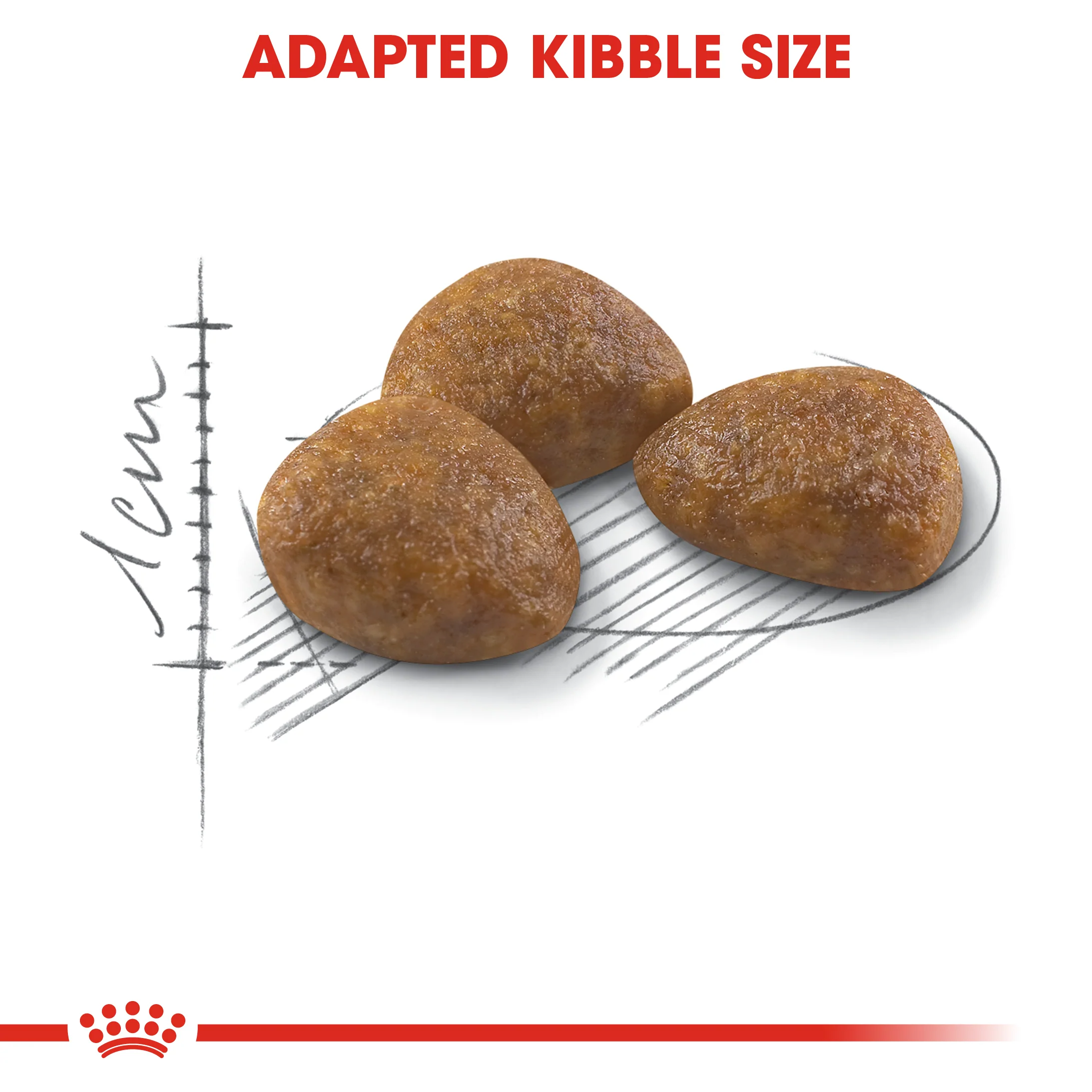 ROYAL CANIN® Outdoor 7+ Adult Dry Cat Food - Image 2