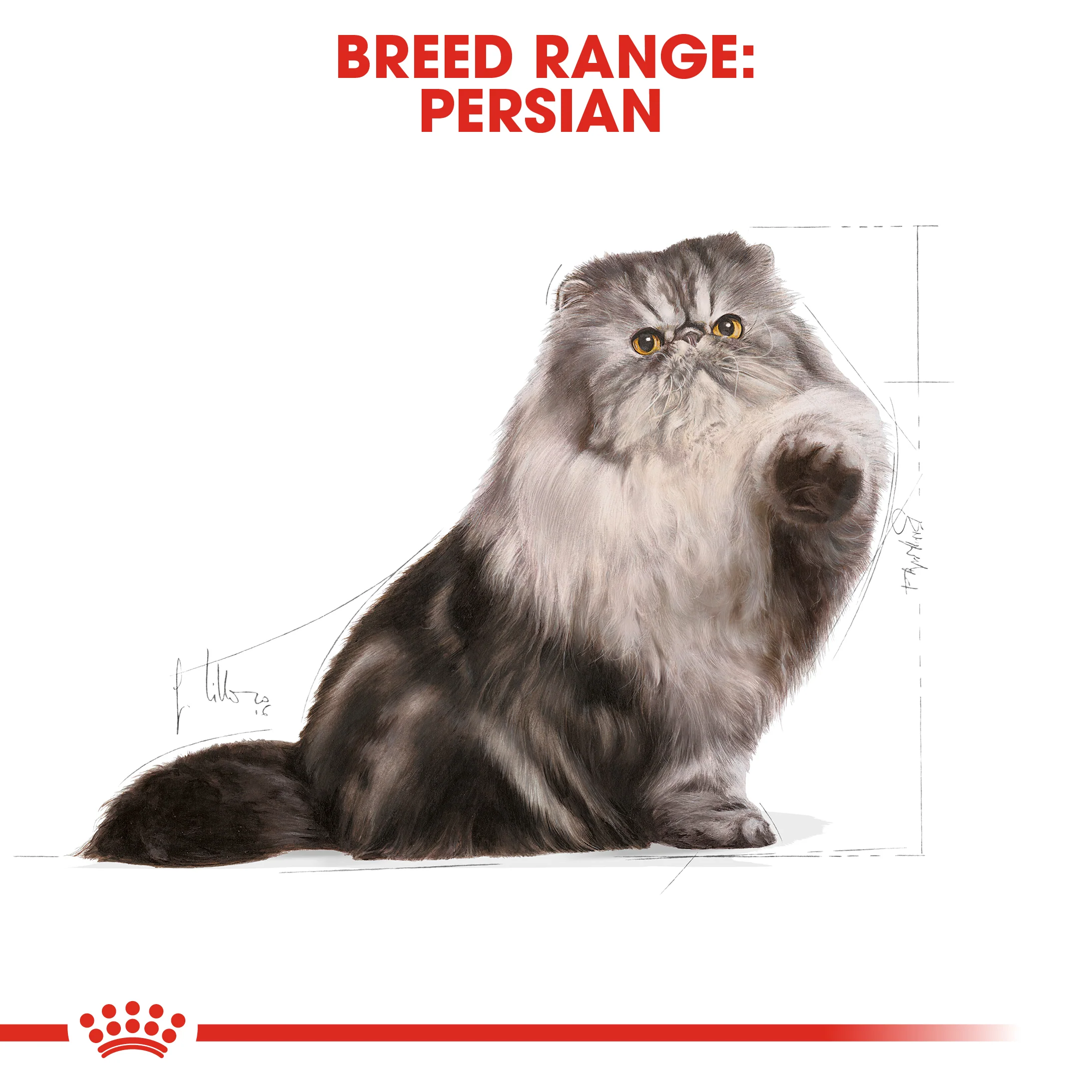 ROYAL CANIN® Persian Adult Dry Cat Food - Image 11