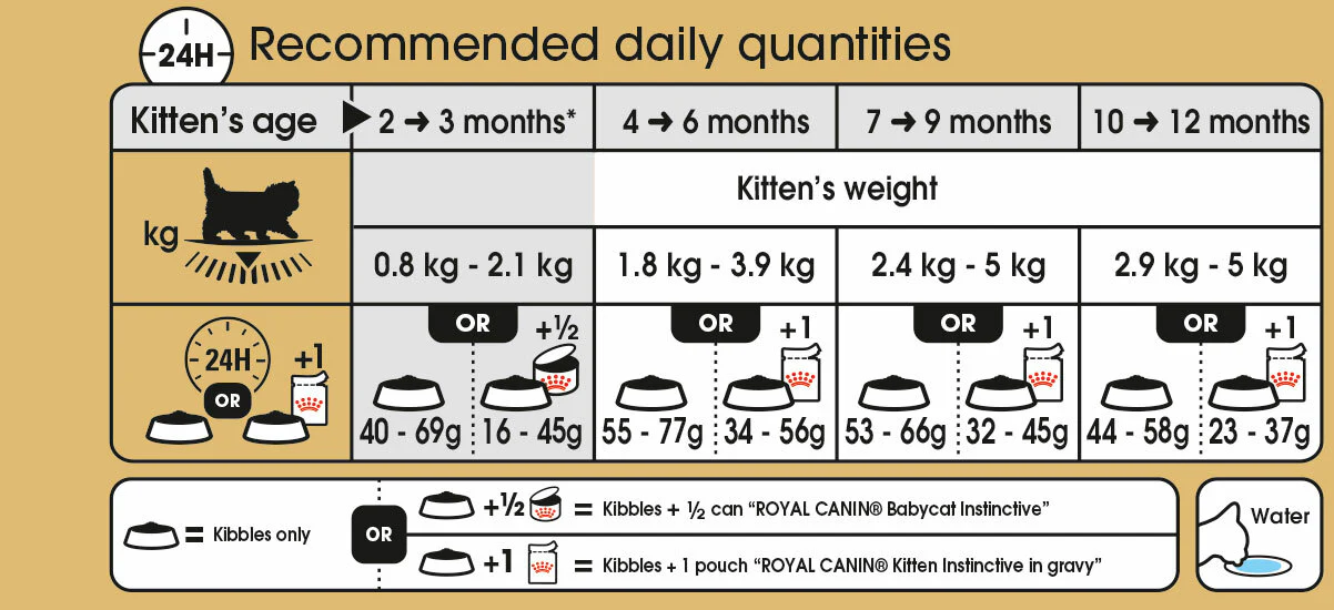 ROYAL CANIN® Persian Kitten Dry Food - Image 4