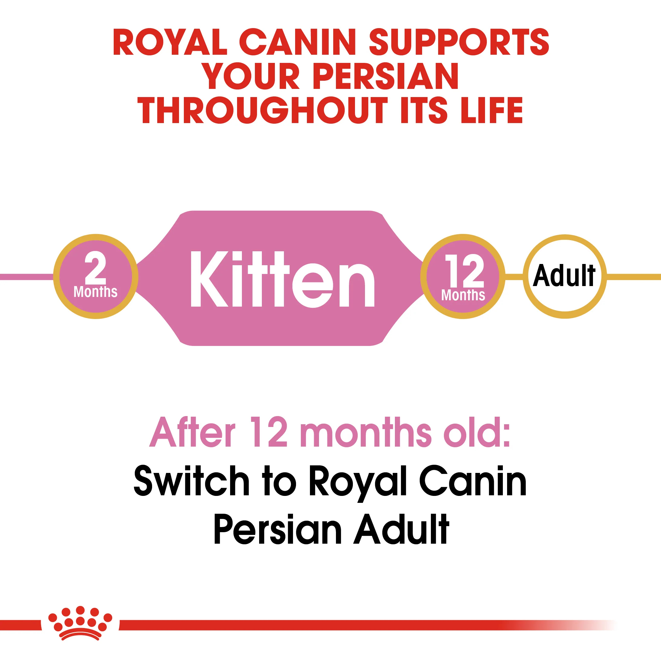 ROYAL CANIN® Persian Kitten Dry Food - Image 6