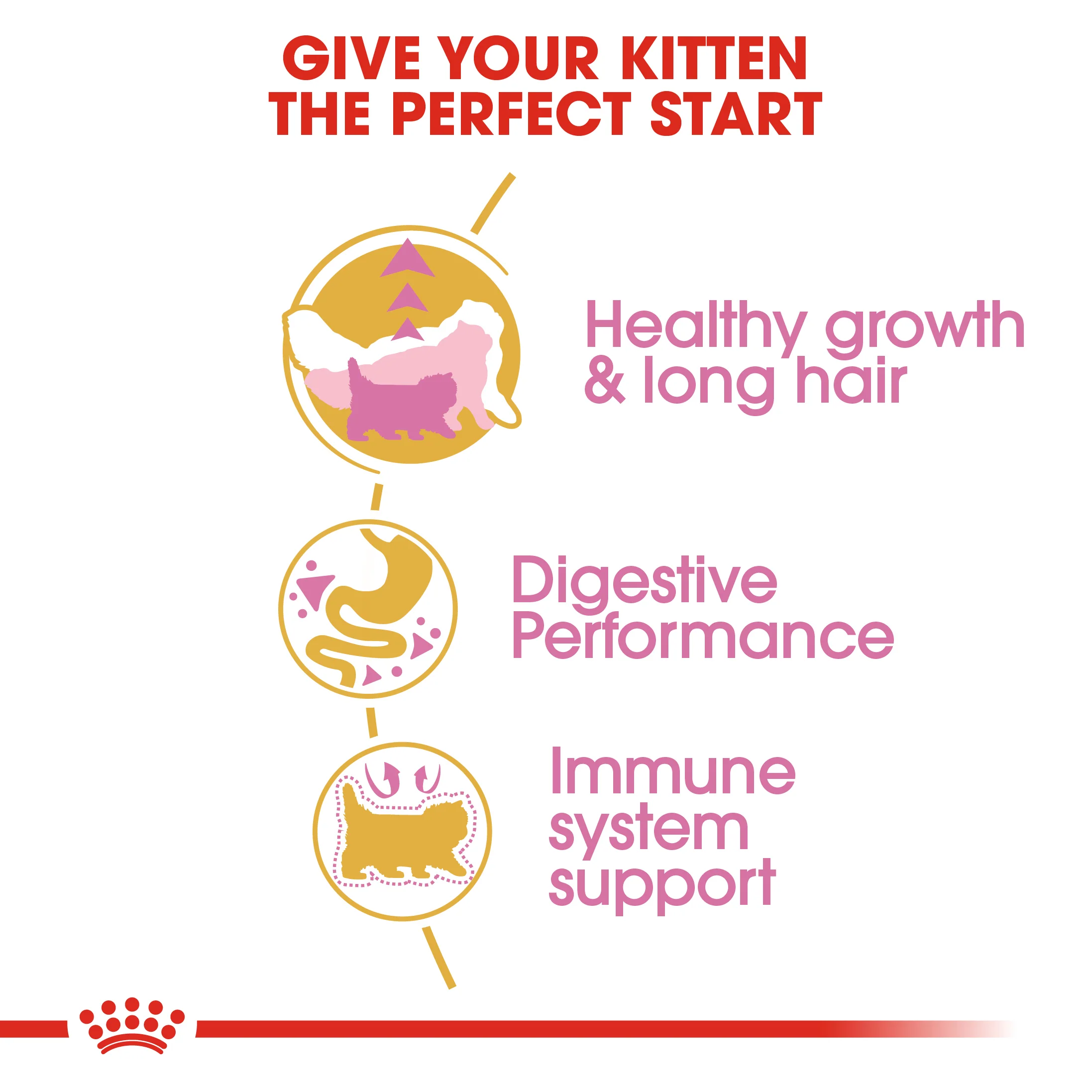 ROYAL CANIN® Persian Kitten Dry Food - Image 7