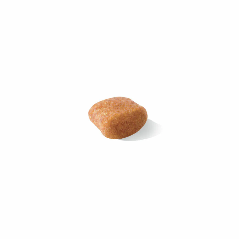 ROYAL CANIN® Poodle Adult Dry Dog Food - Image 3