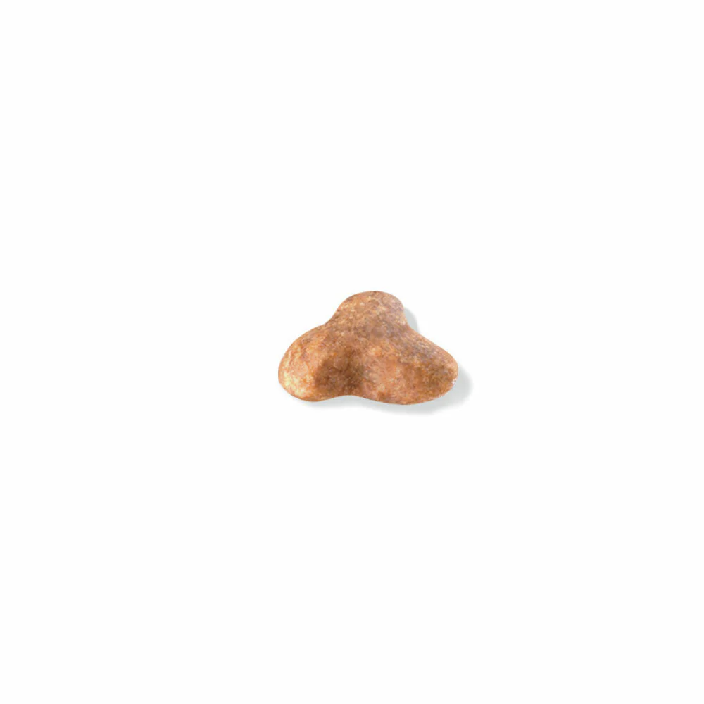 ROYAL CANIN® Pug Adult Dry Dog Food - Image 3