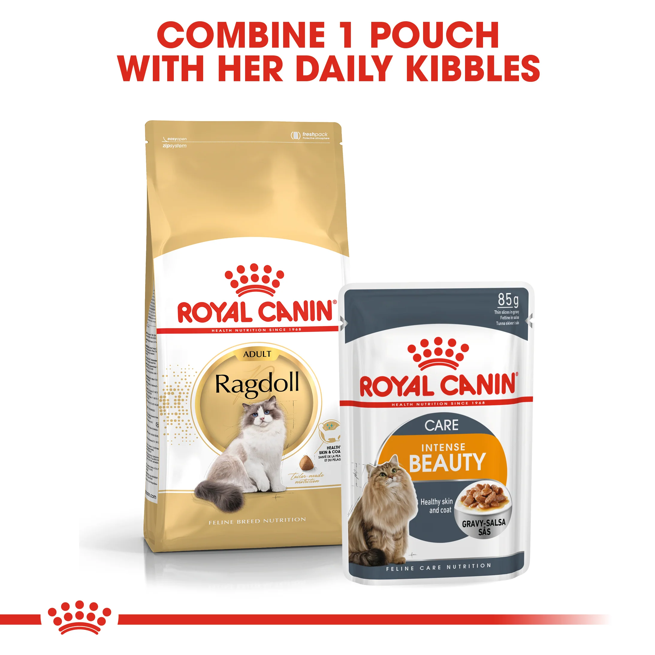 ROYAL CANIN® Ragdoll Adult Dry  Cat Food - Image 11