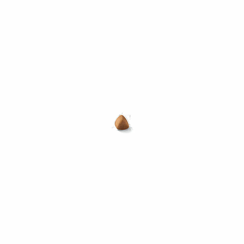 ROYAL CANIN® Ragdoll Adult Dry  Cat Food - Image 3