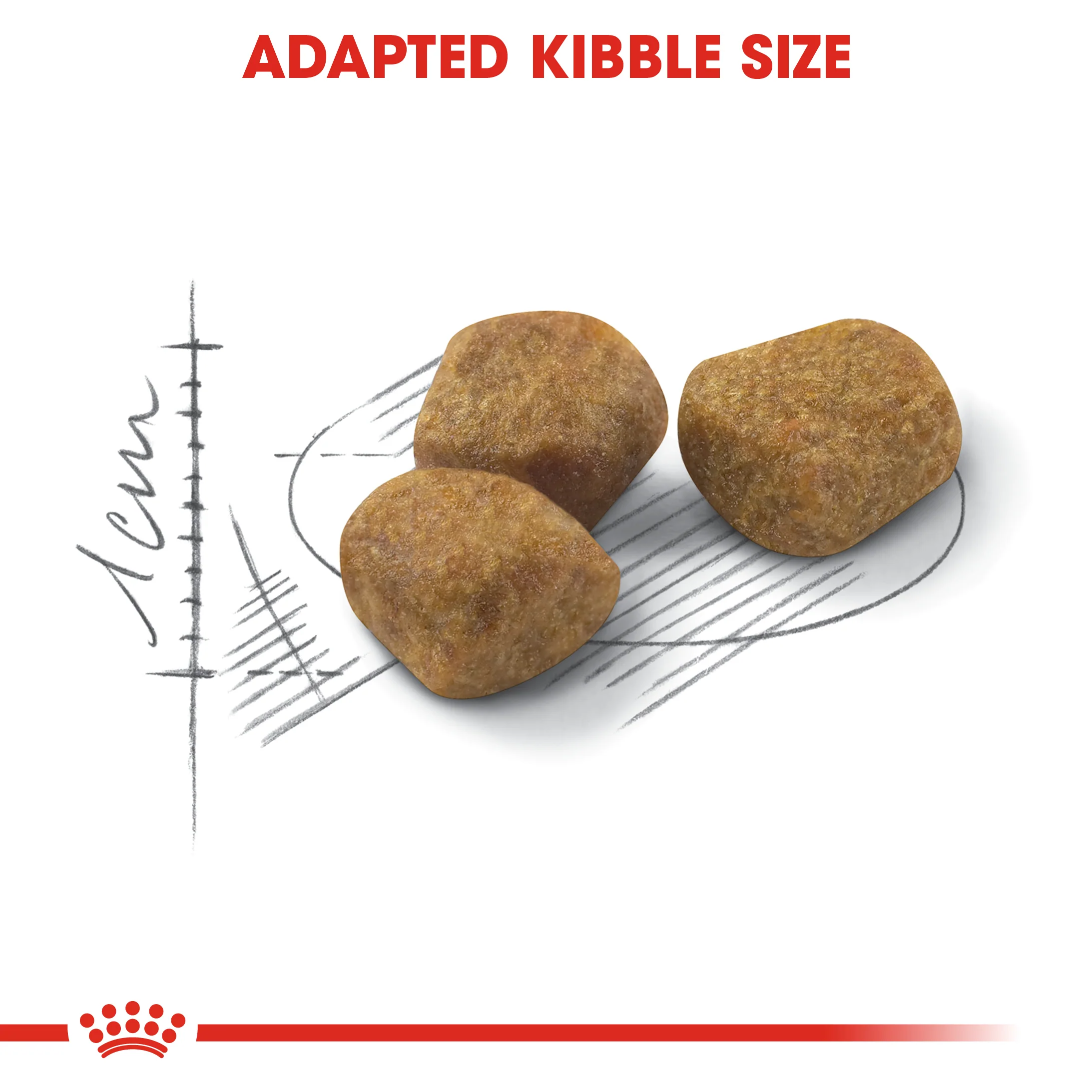 ROYAL CANIN® Regular Fit 32 Adult Dry Cat Food - Image 2