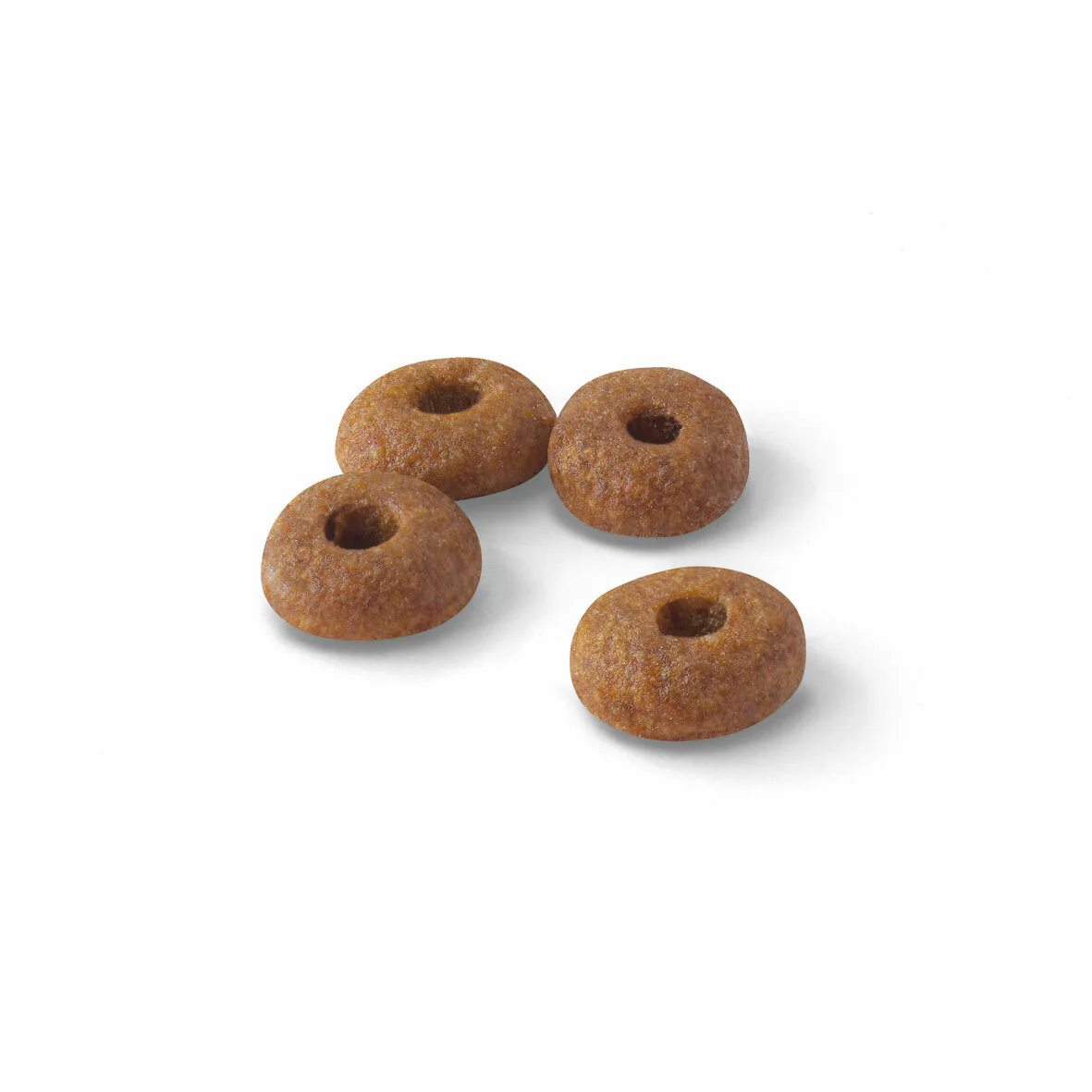 ROYAL CANIN® Regular Fit 32 Adult Dry Cat Food - Image 3