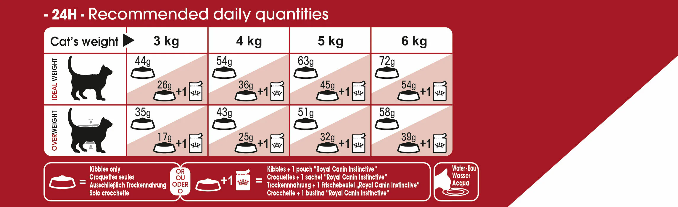 ROYAL CANIN® Regular Fit 32 Adult Dry Cat Food - Image 4