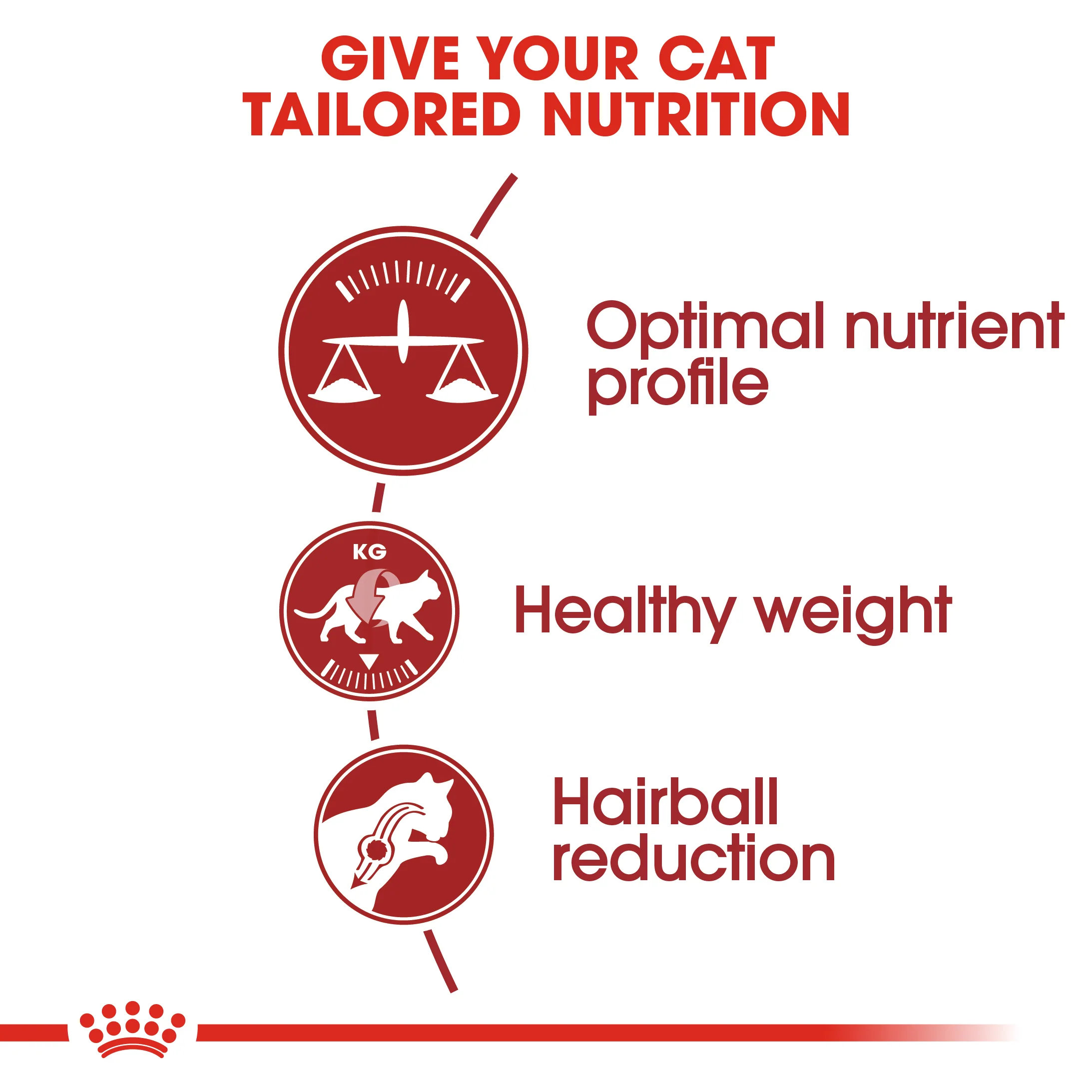 ROYAL CANIN® Regular Fit 32 Adult Dry Cat Food - Image 6