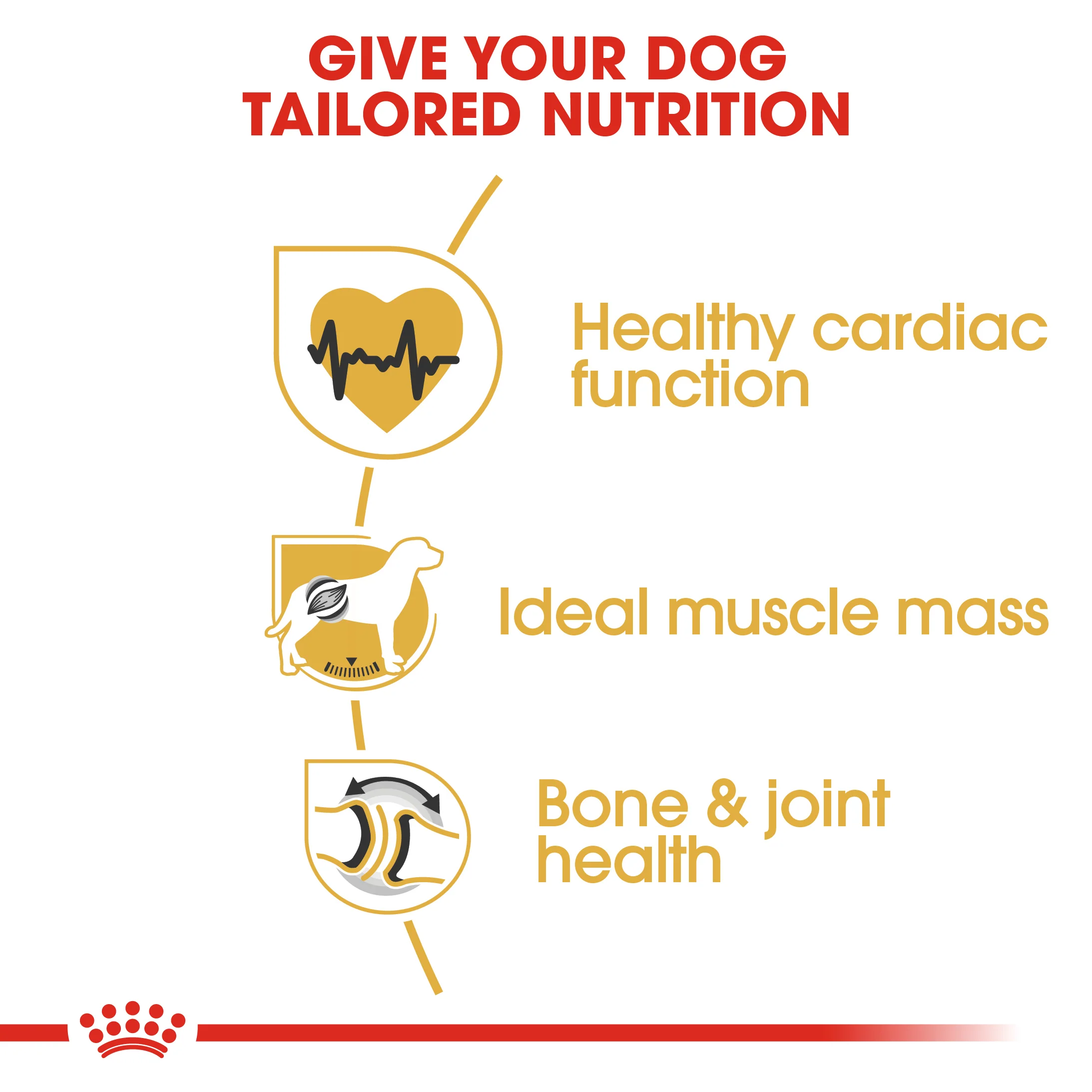 ROYAL CANIN® Rottweiler Adult Dry Dog Food - Image 6