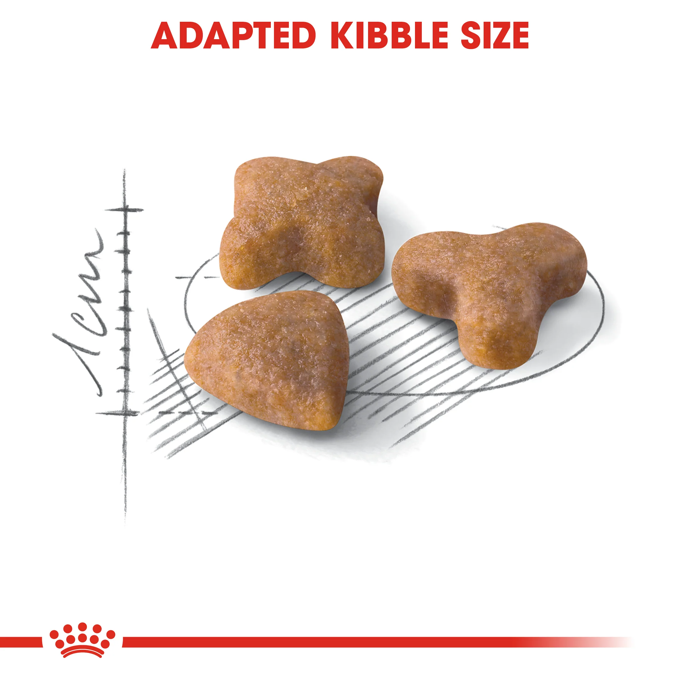 ROYAL CANIN® Sensible 33 Adult Dry Cat Food - Image 2