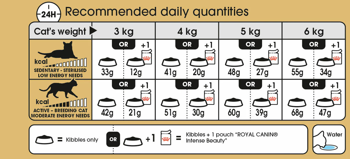 ROYAL CANIN® Siamese Adult Dry Cat Food - Image 4