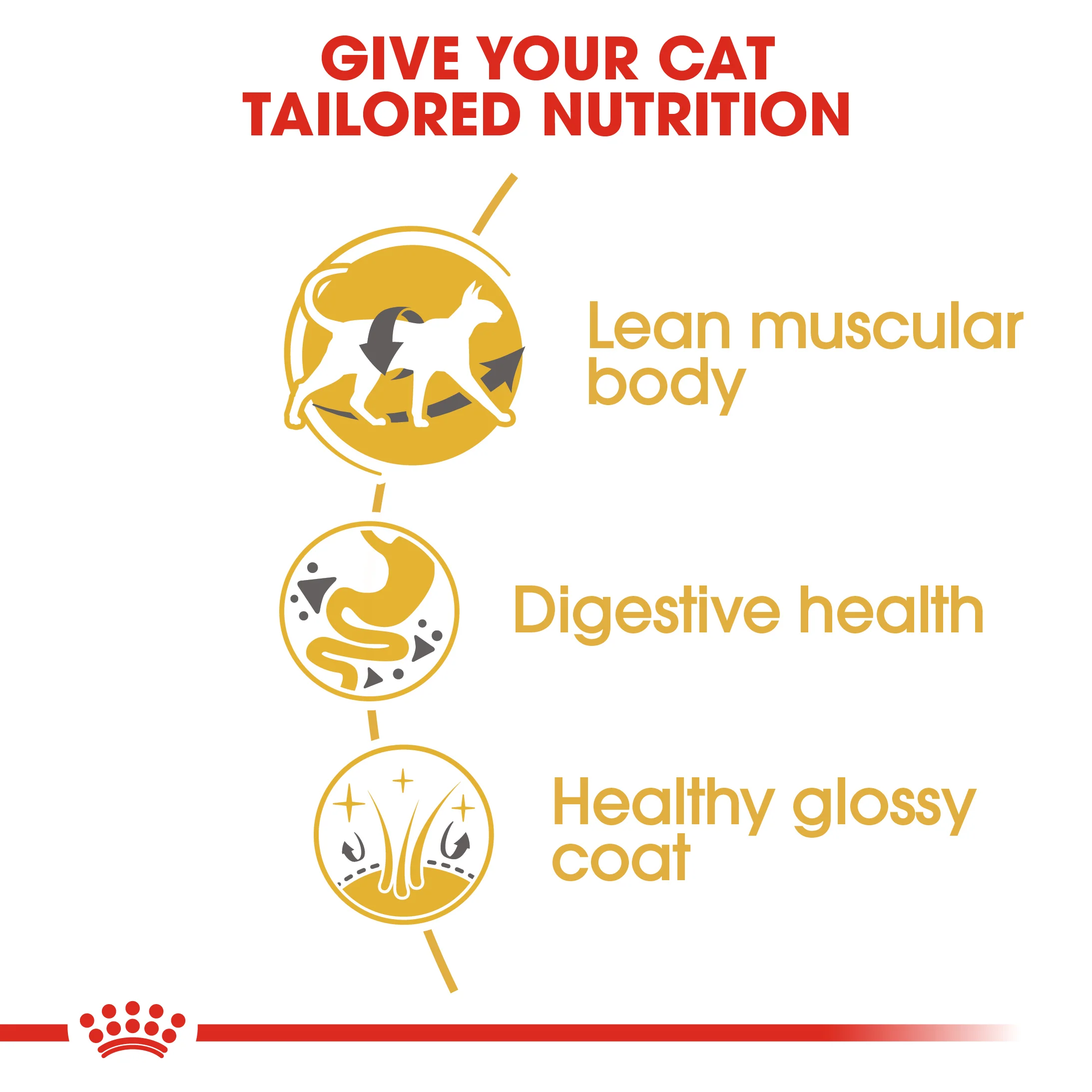 ROYAL CANIN® Siamese Adult Dry Cat Food - Image 6