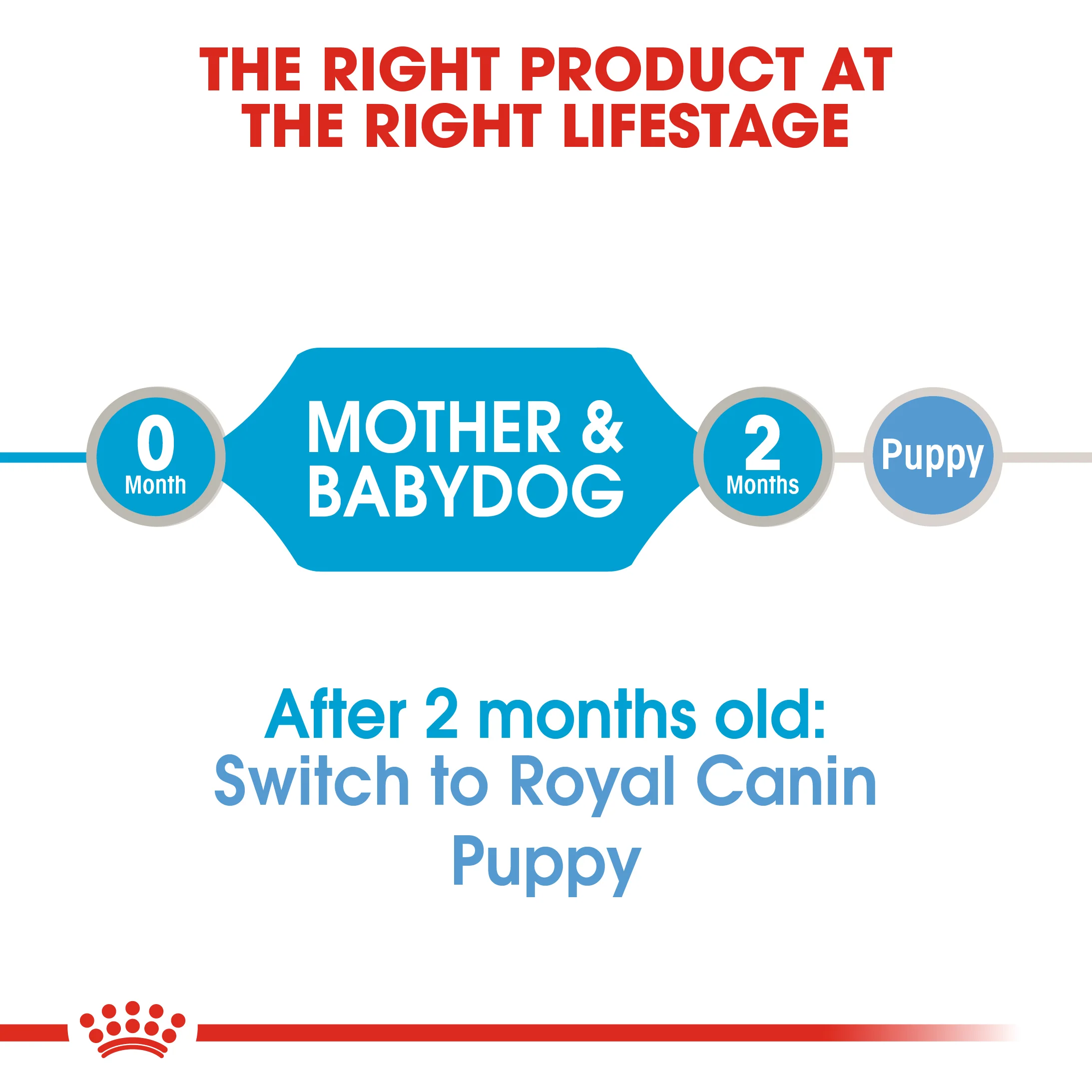 ROYAL CANIN® Starter Mother & Babydog Adult and Puppy Wet Food - Image 9