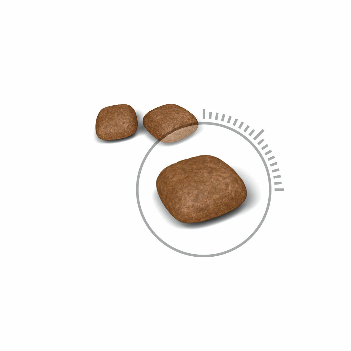 ROYAL CANIN® Urinary Care Adult Dry Cat Food - Image 5