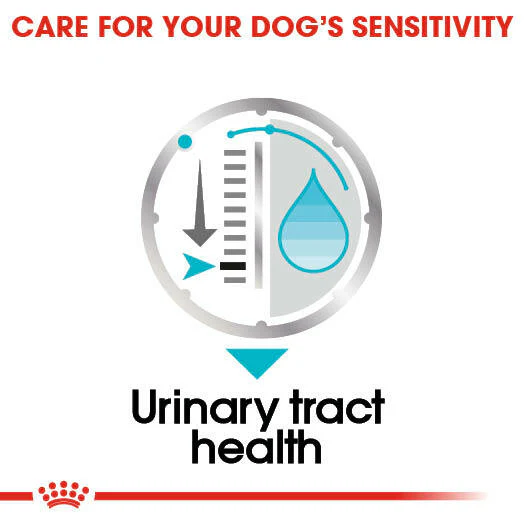 ROYAL CANIN® Urinary Care Wet Pouches Adult Dog Food - Image 5