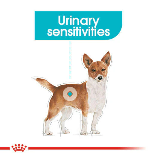 ROYAL CANIN® Urinary Care Wet Pouches Adult Dog Food - Image 6
