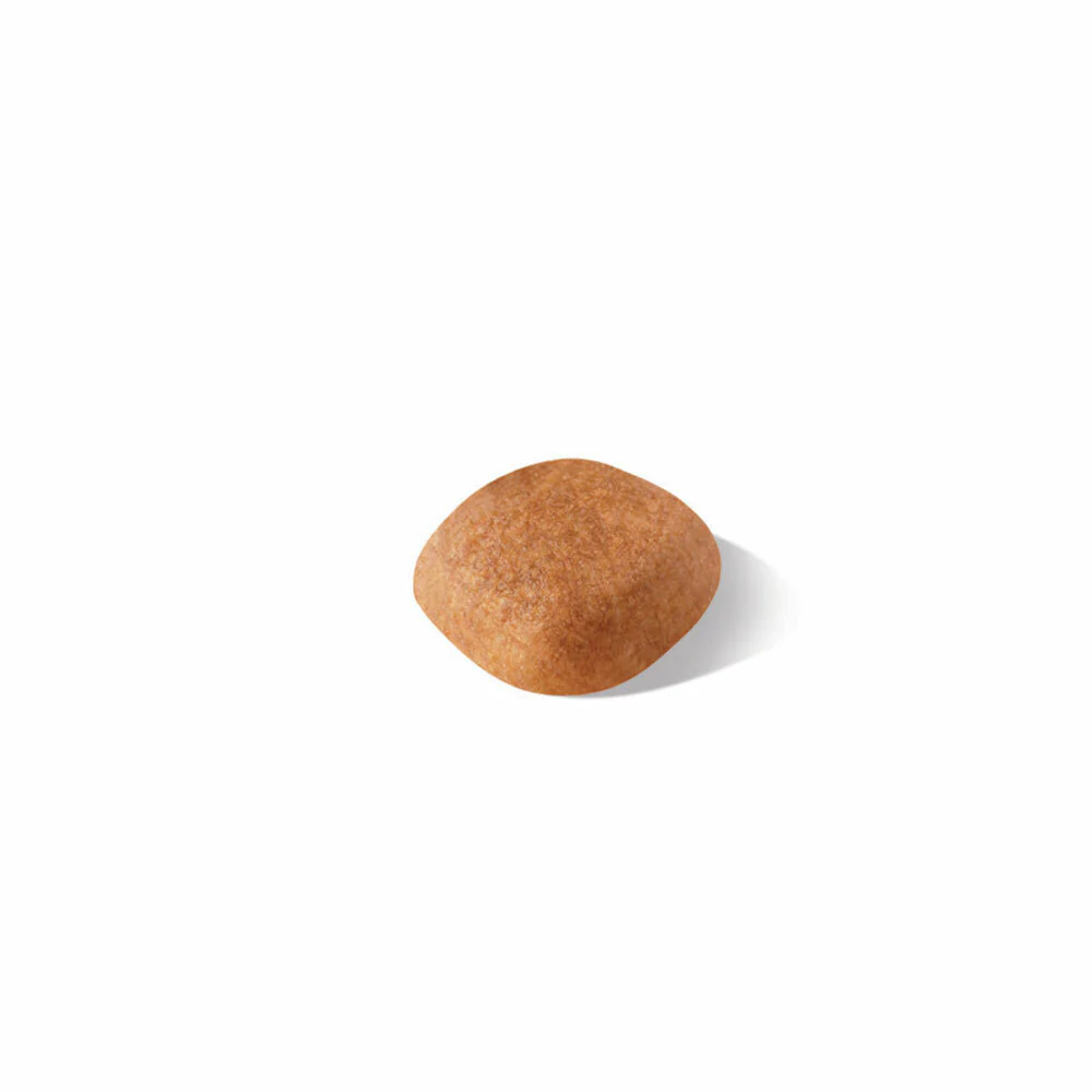ROYAL CANIN® West Highland White Terrier Adult Dry Dog Food - Image 4