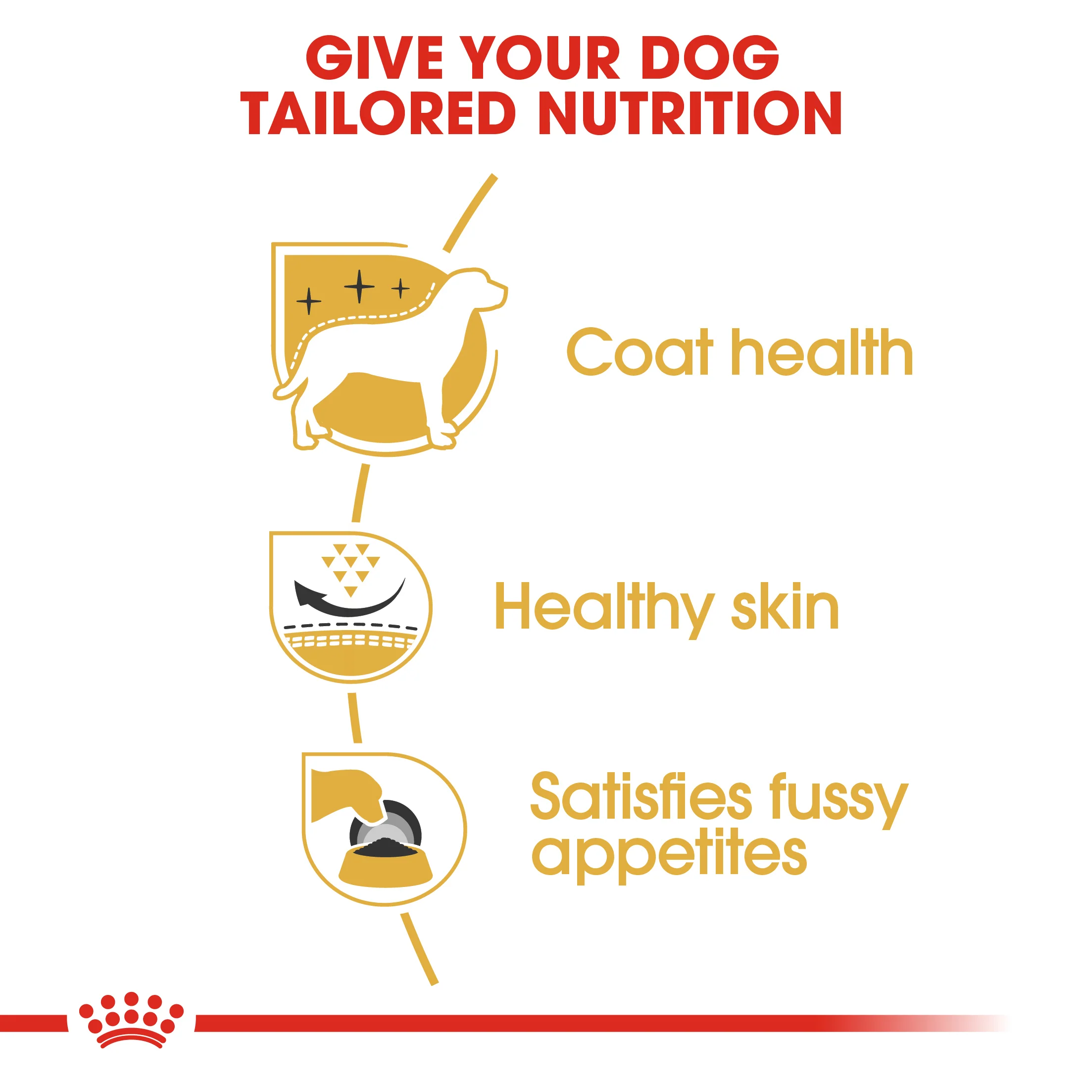 ROYAL CANIN® West Highland White Terrier Adult Dry Dog Food - Image 6
